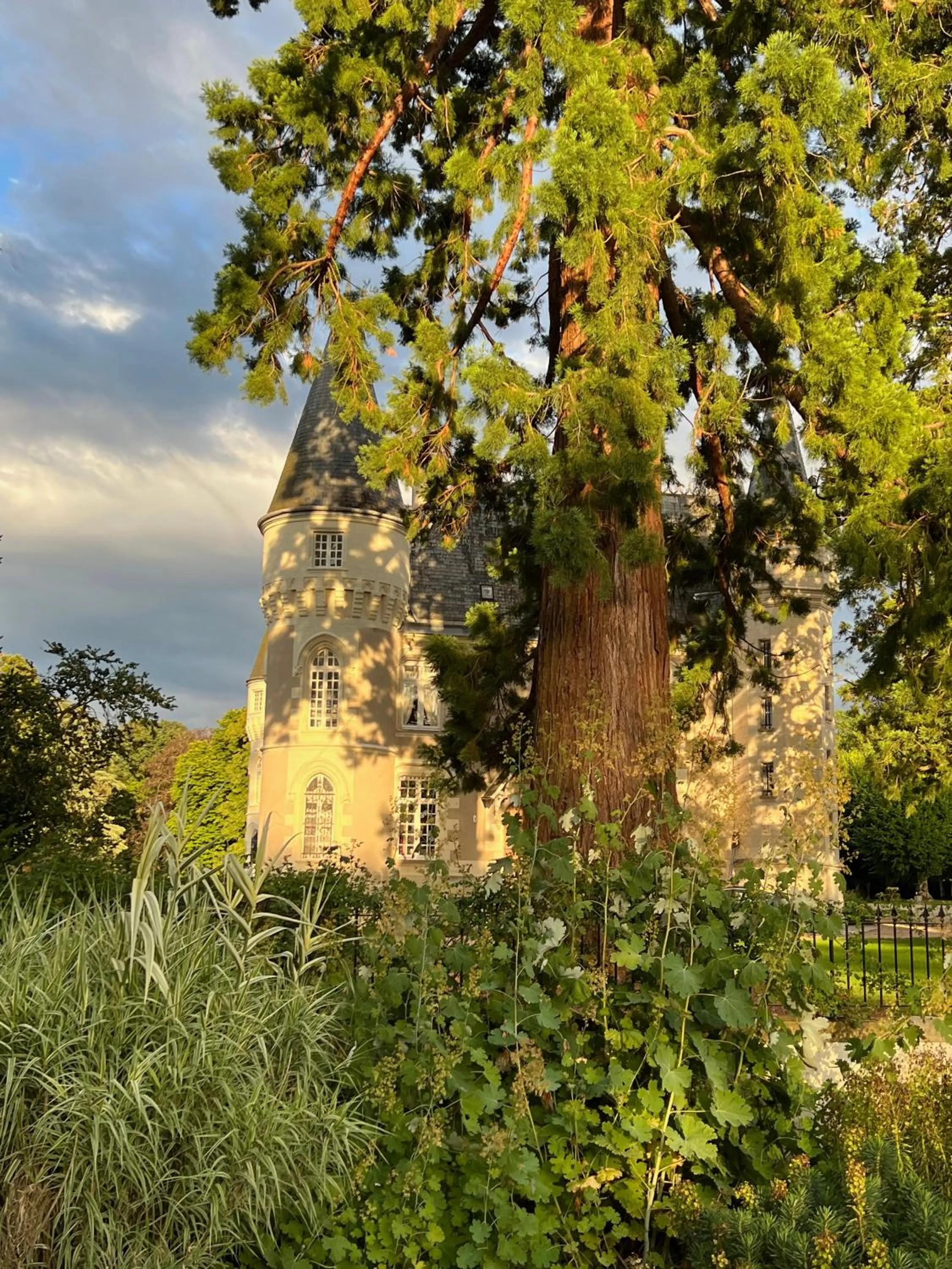 Château de Beauvais