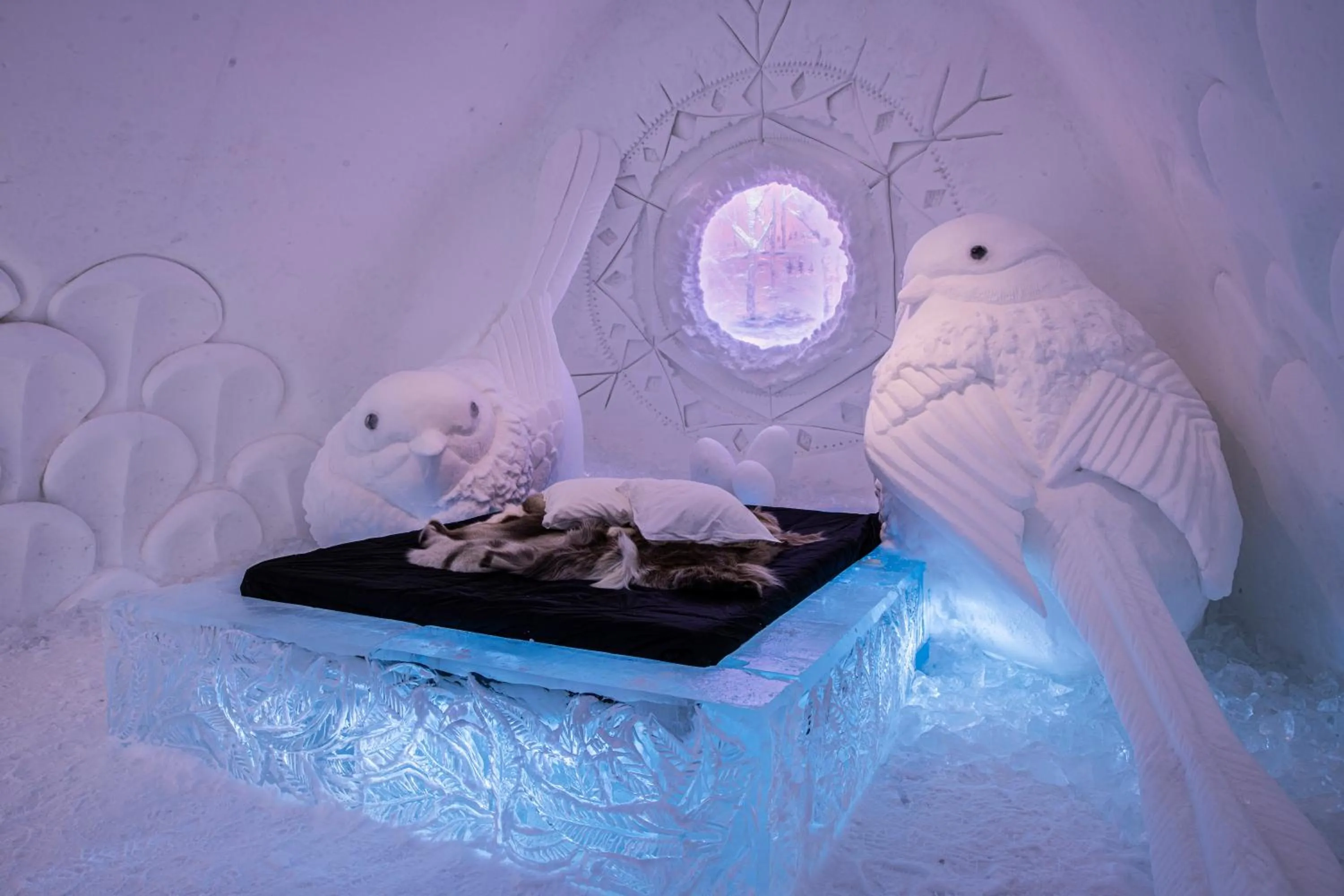 Photo of the whole room in IceHotel