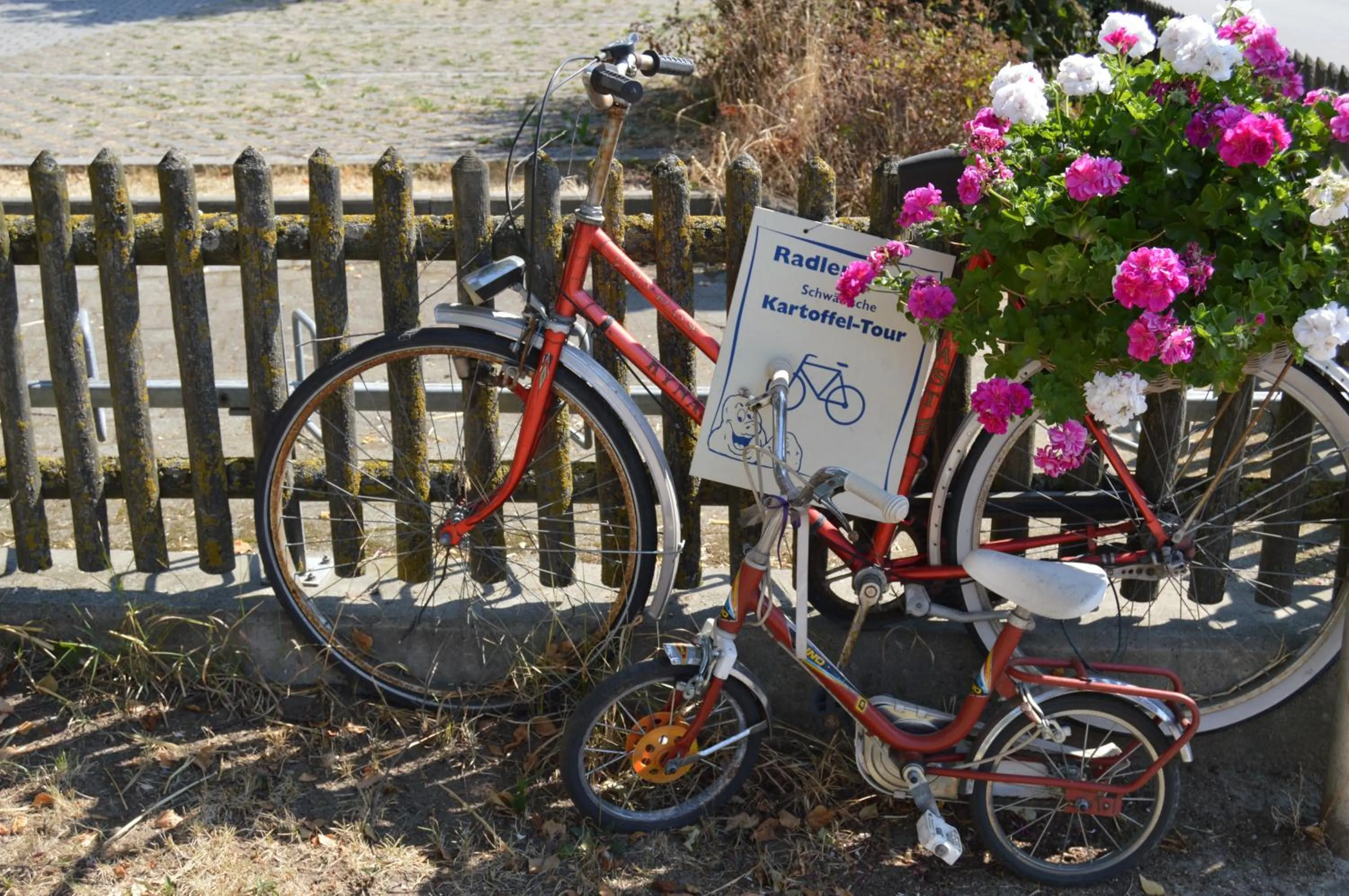 Activities in Gasthof Zahler