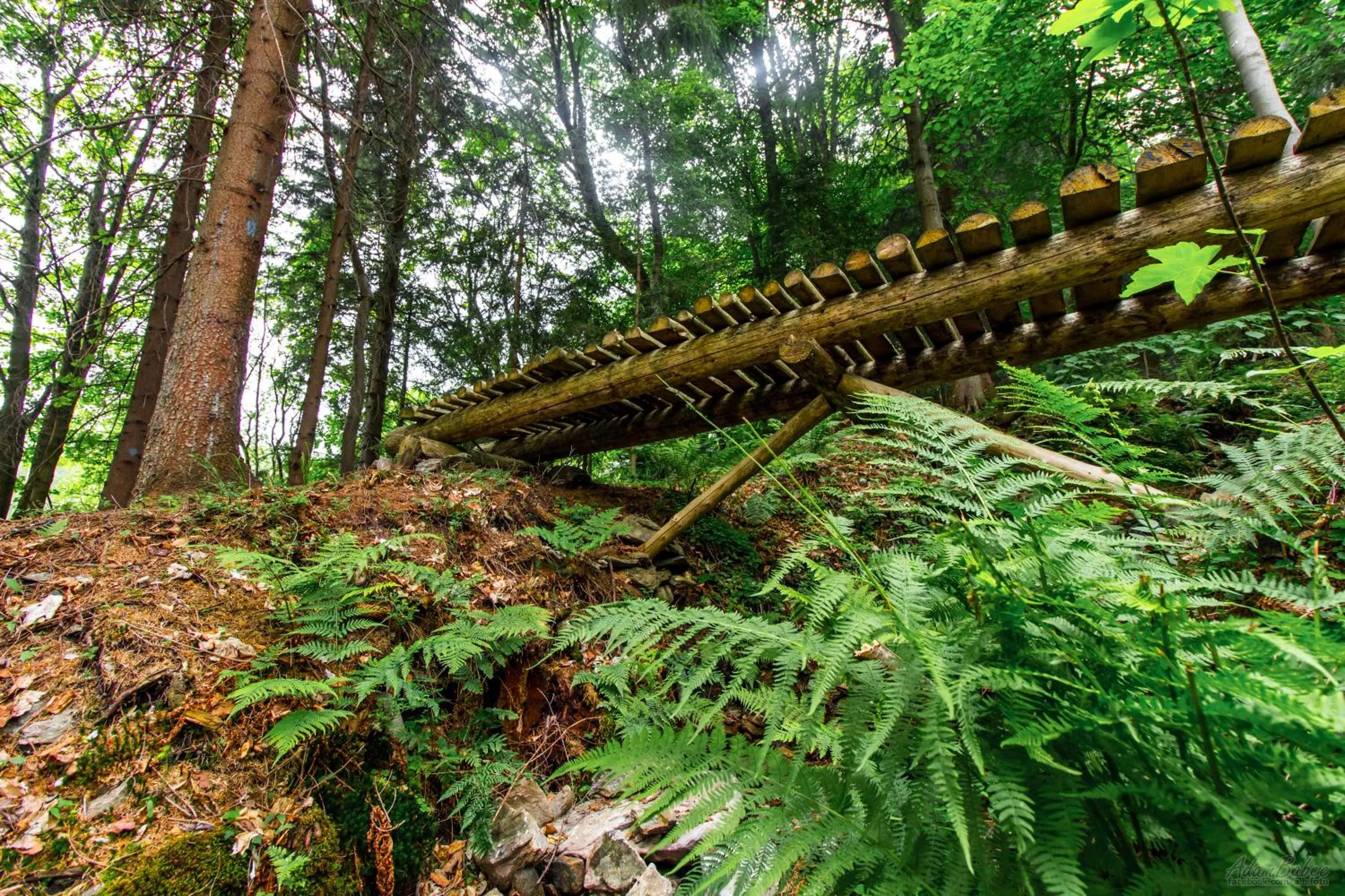 Garden in Hotel Horní Pramen