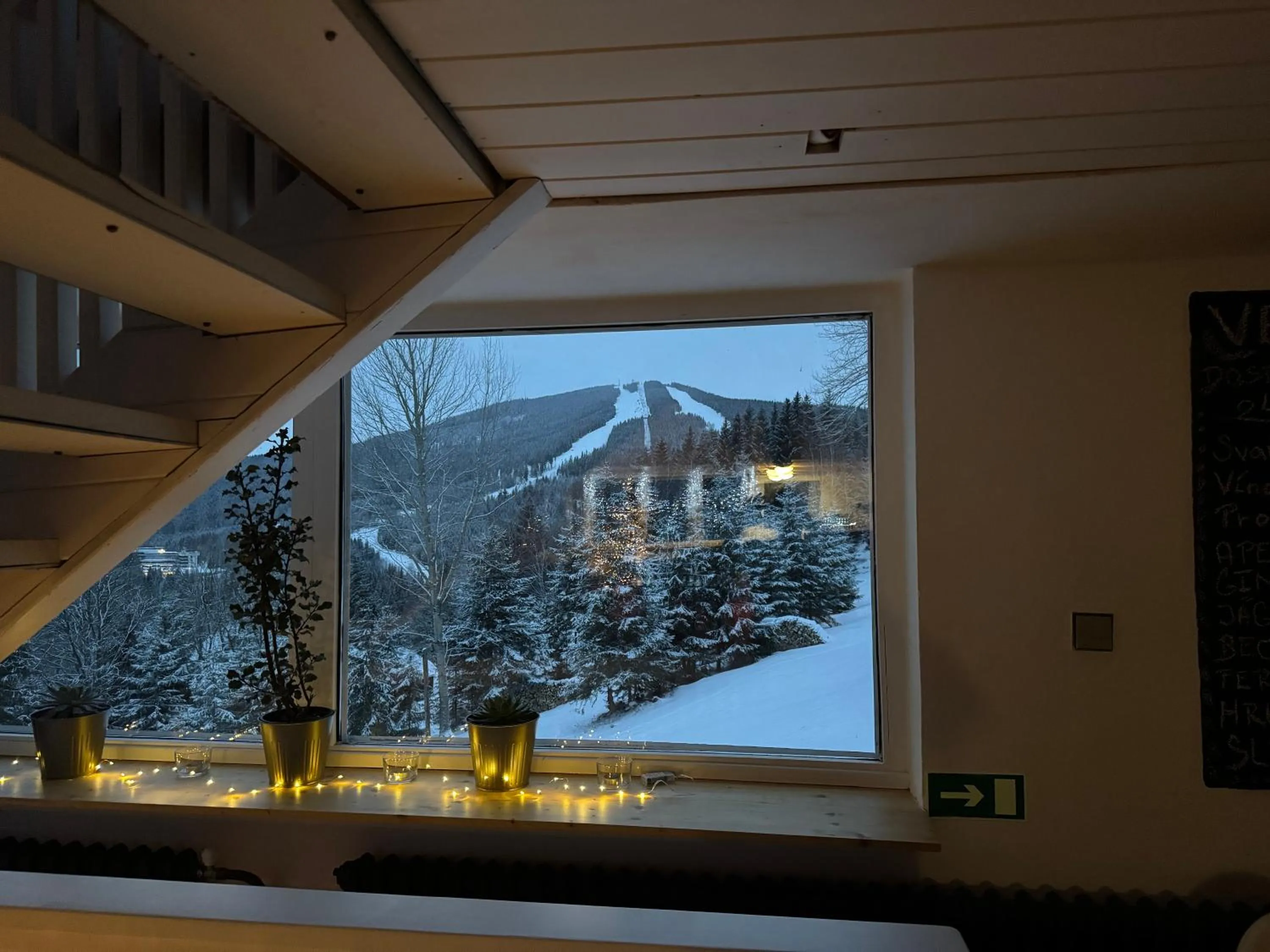 View (from property/room) in Hotel Horní Pramen