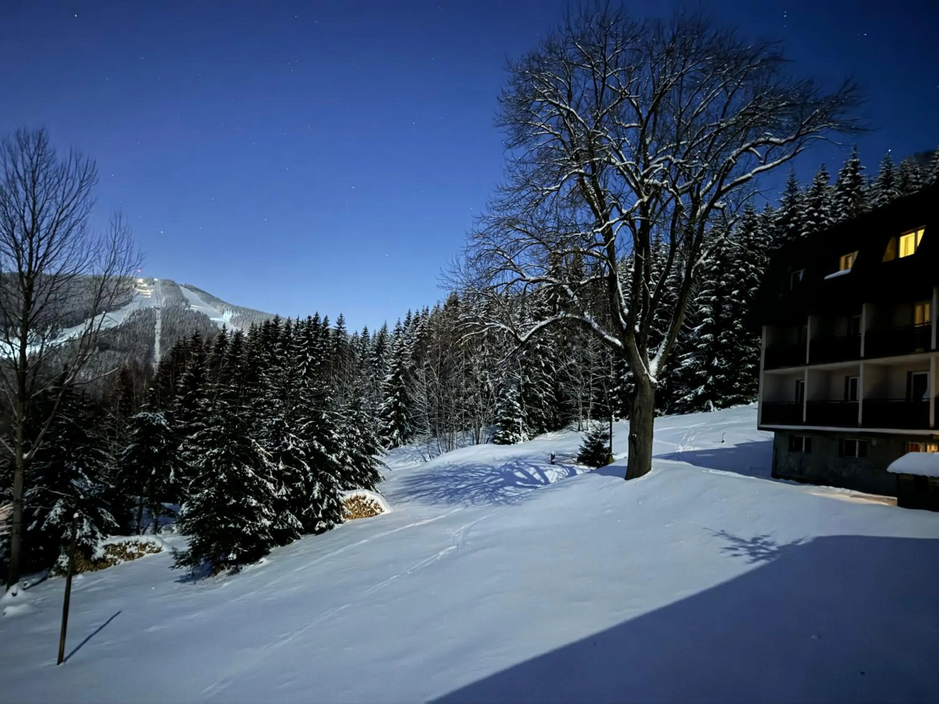 Property building in Hotel Horní Pramen