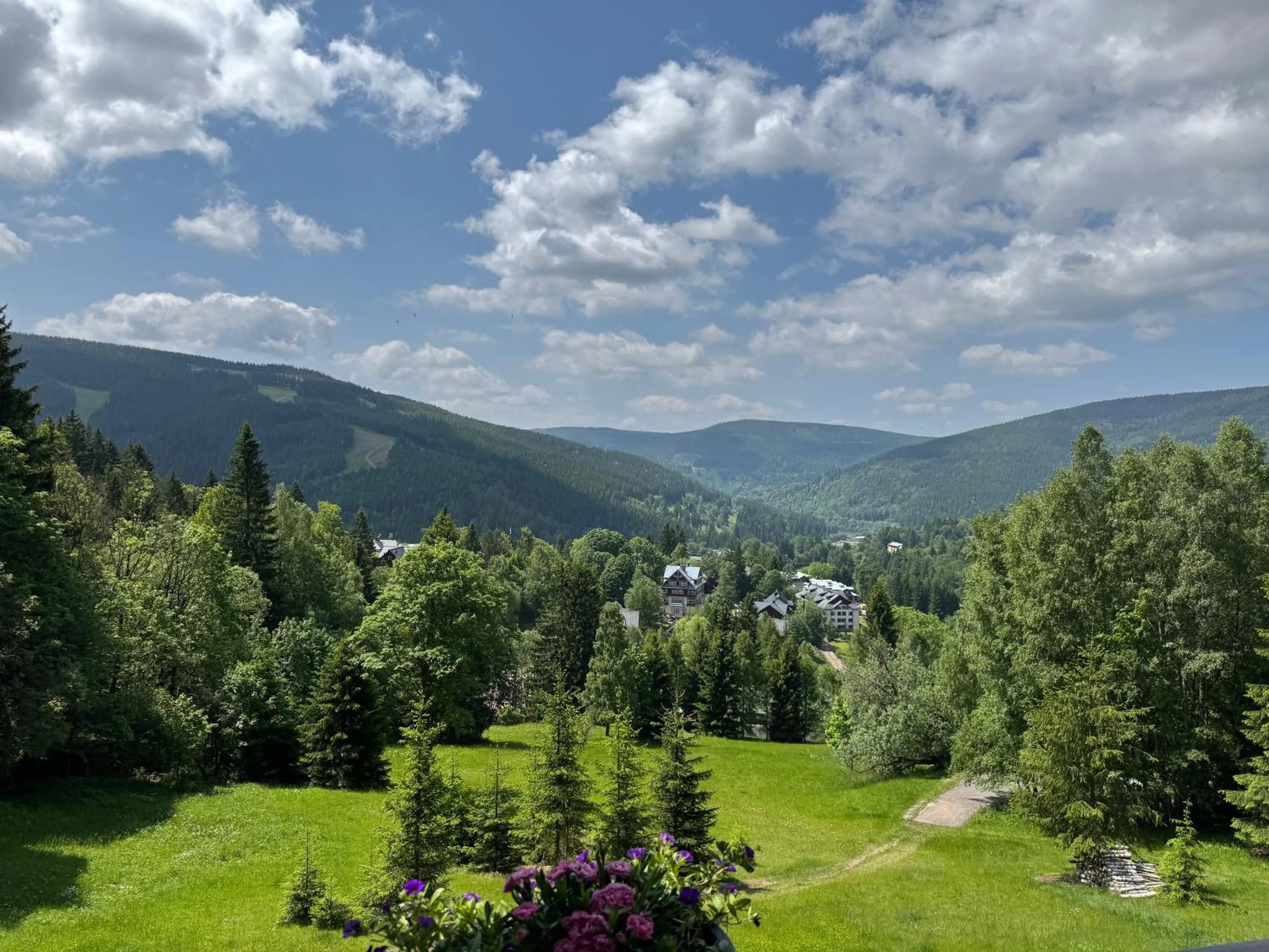 View (from property/room) in Hotel Horní Pramen