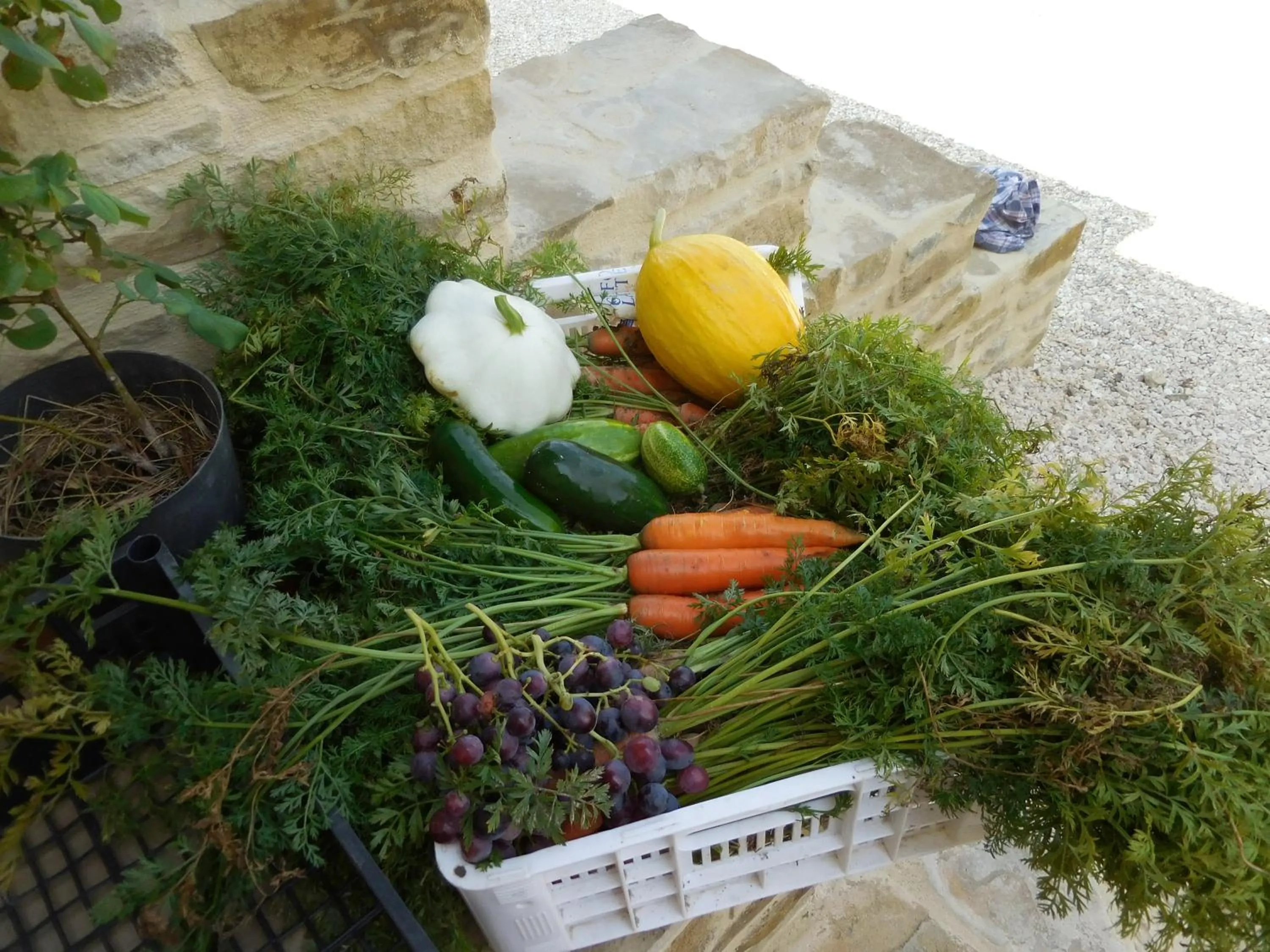 Shopping Area in Agriturismo Terra Selvatica