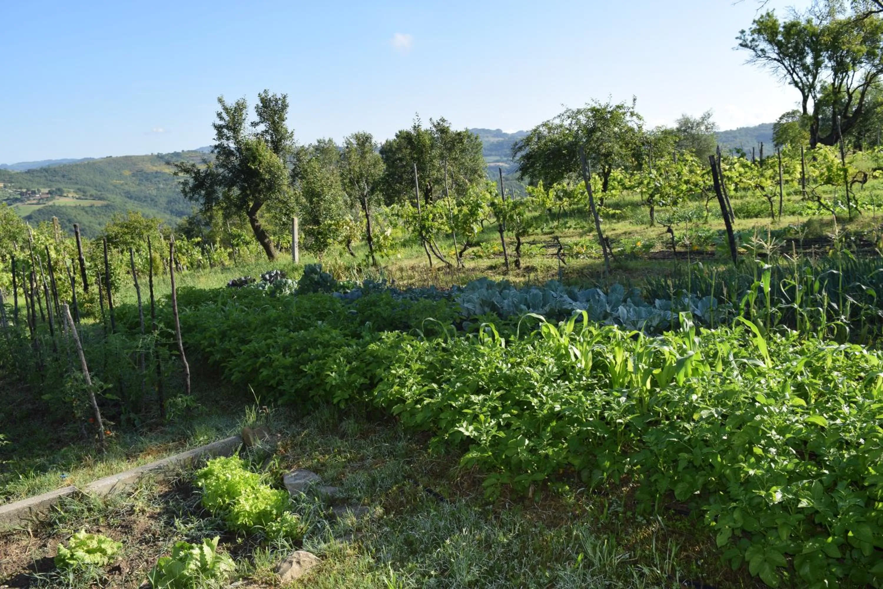 Garden in Agriturismo Terra Selvatica