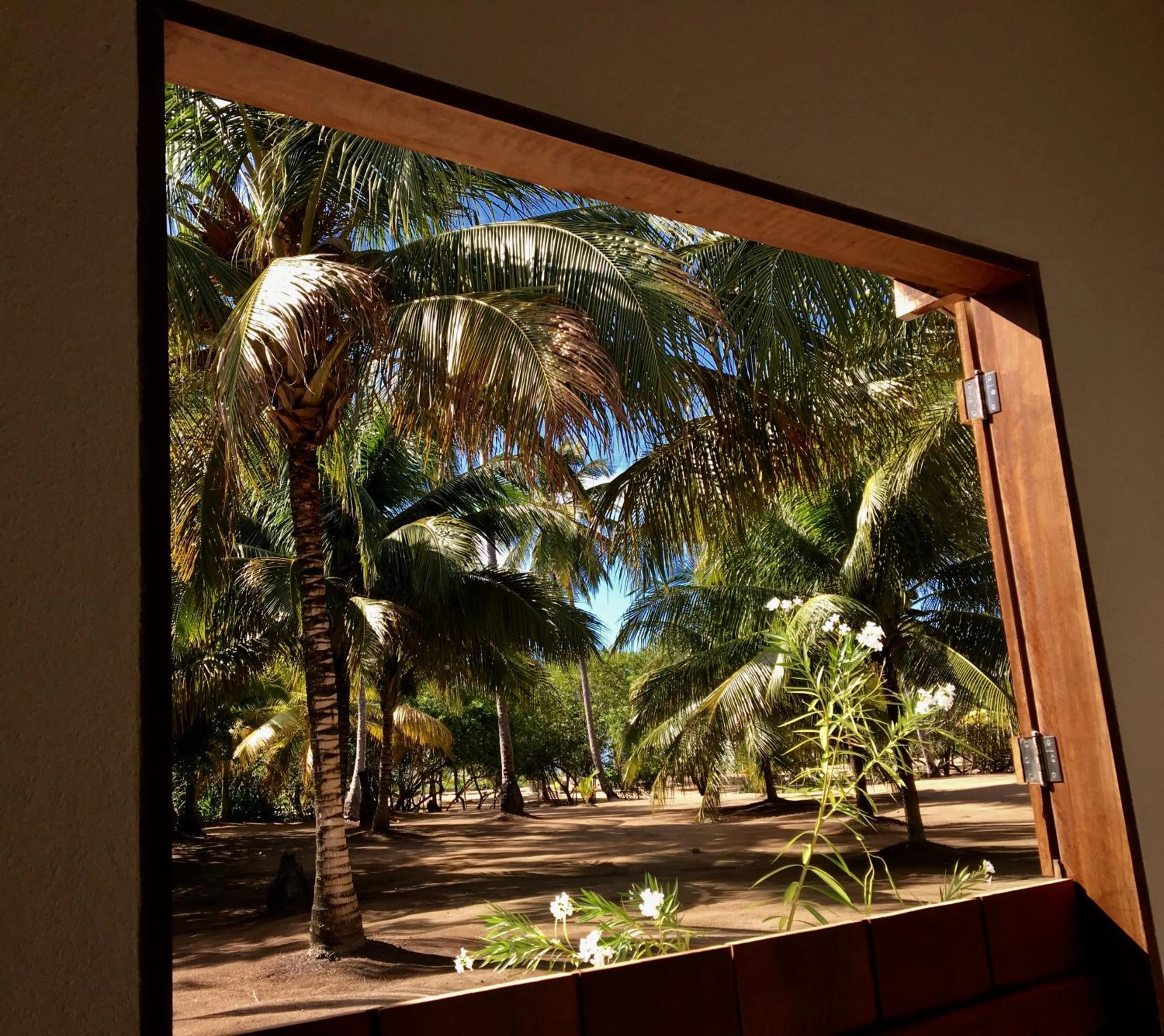 Garden in Abaetetuba Pousada