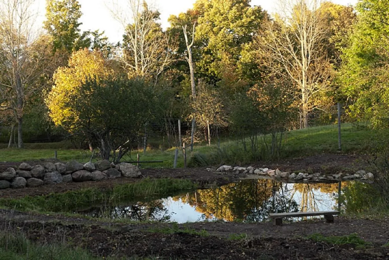 Green Dragon Organic Farm and B&B