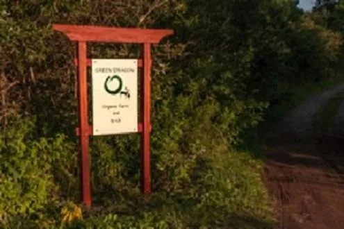 Green Dragon Organic Farm and B&B