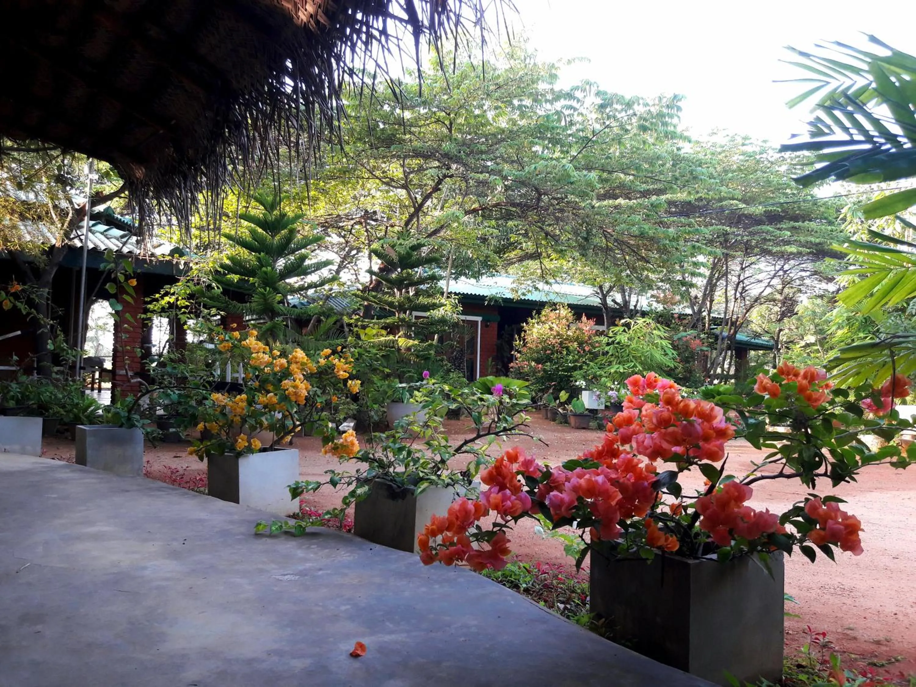 Garden in Sunshine Resort & Spa Sigiriya