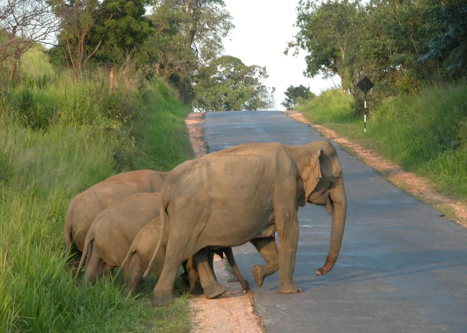 Neighbourhood in Sunshine Resort & Spa Sigiriya