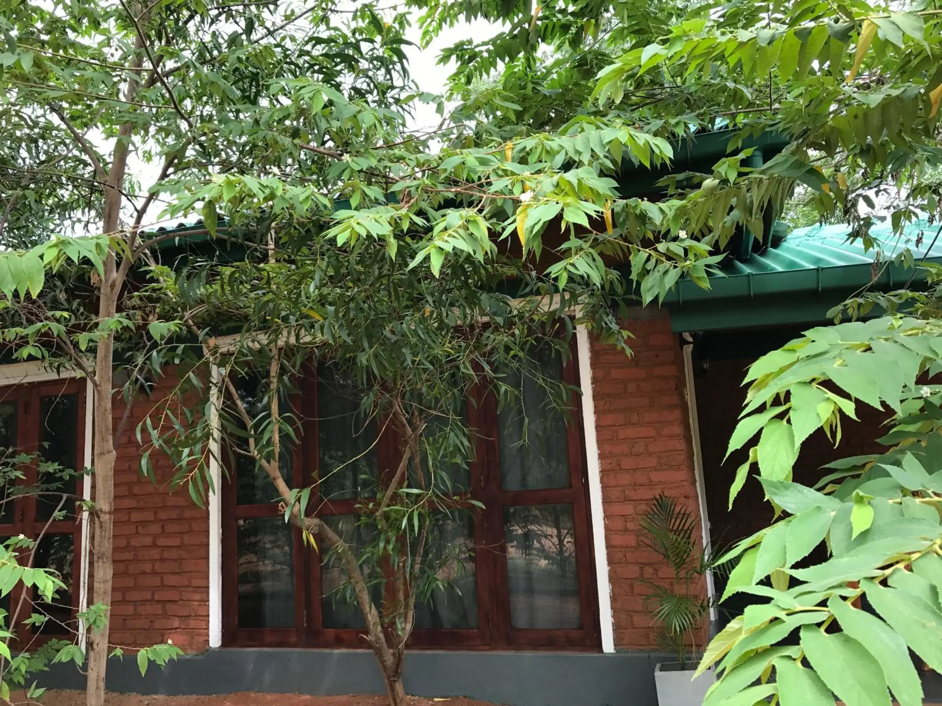 Property building in Sunshine Resort & Spa Sigiriya Property building in Sunshine Resort & Spa Sigiriya