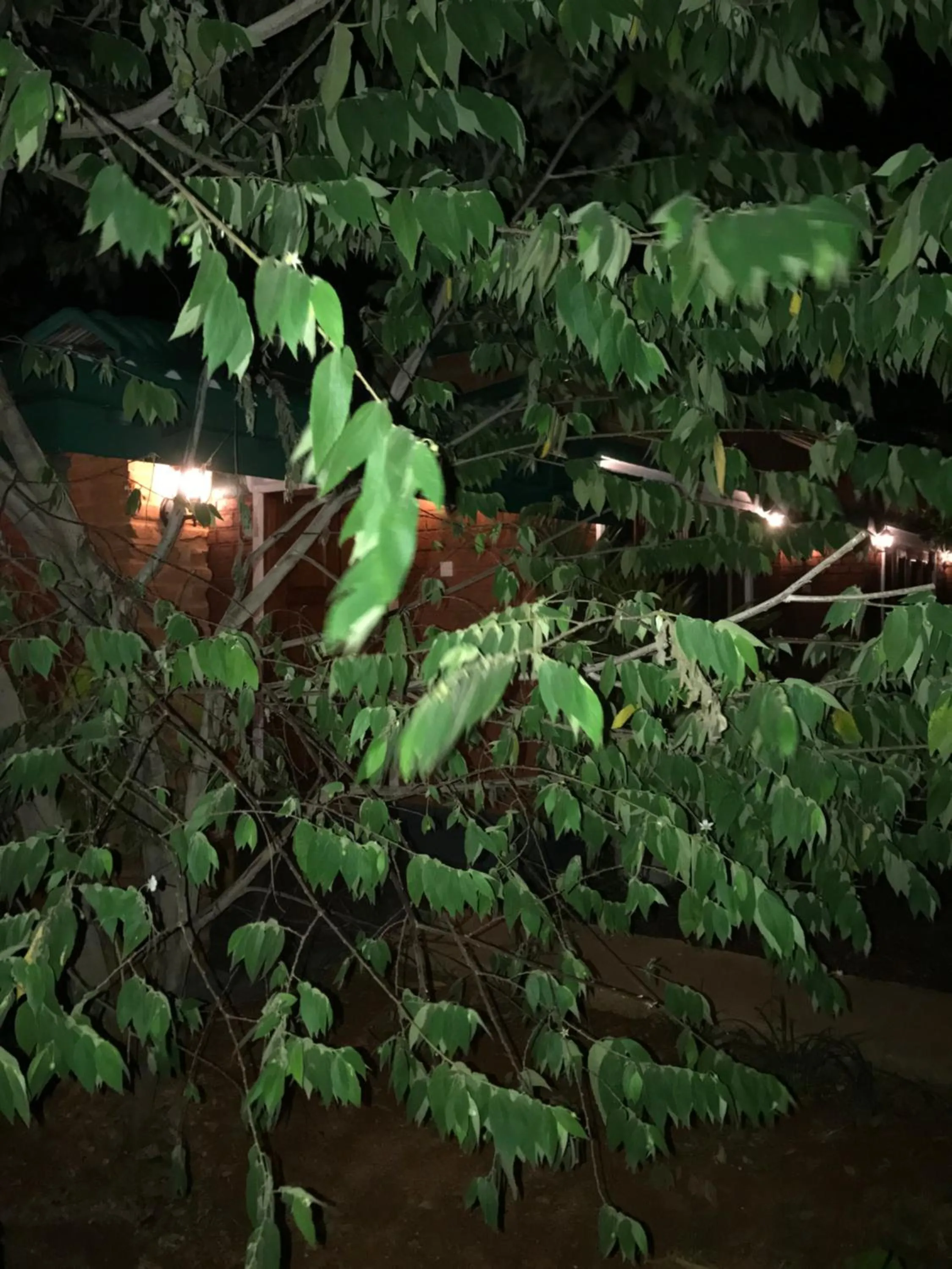 Other in Sunshine Resort & Spa Sigiriya