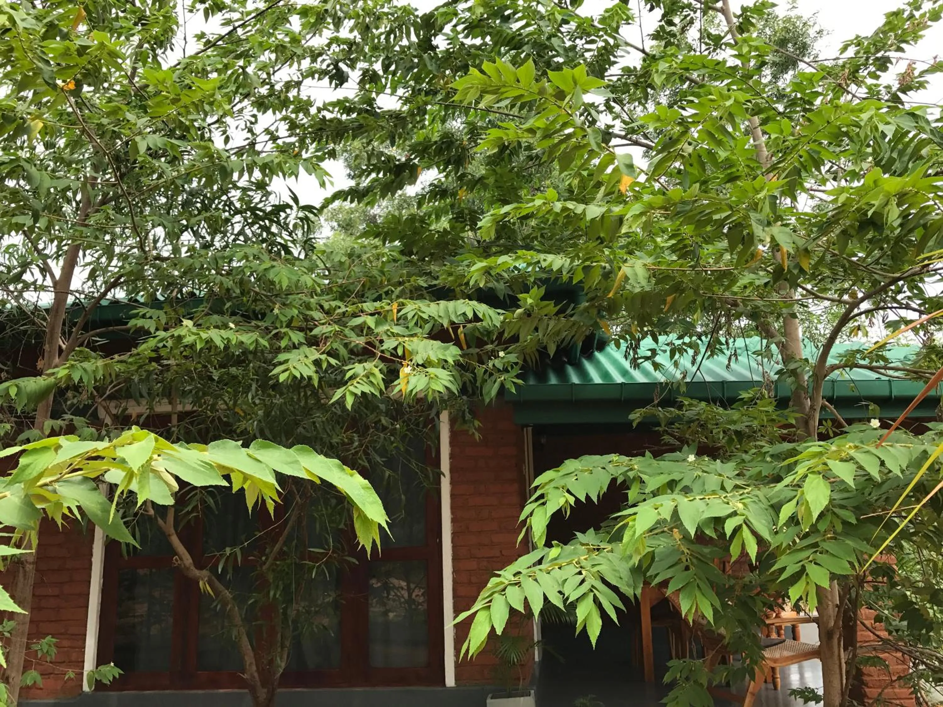 Other in Sunshine Resort & Spa Sigiriya