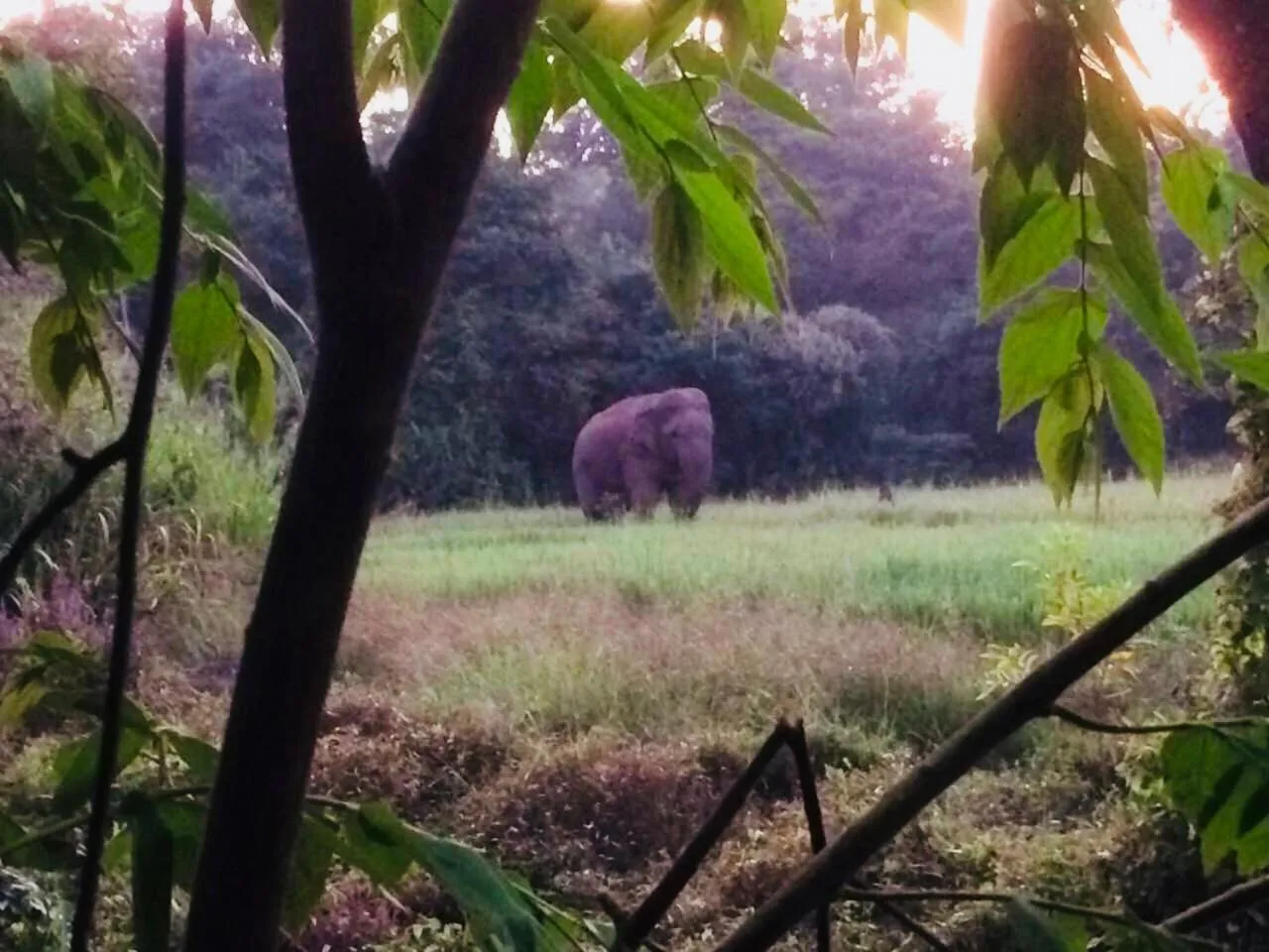 Natural landscape in Sunshine Resort & Spa Sigiriya