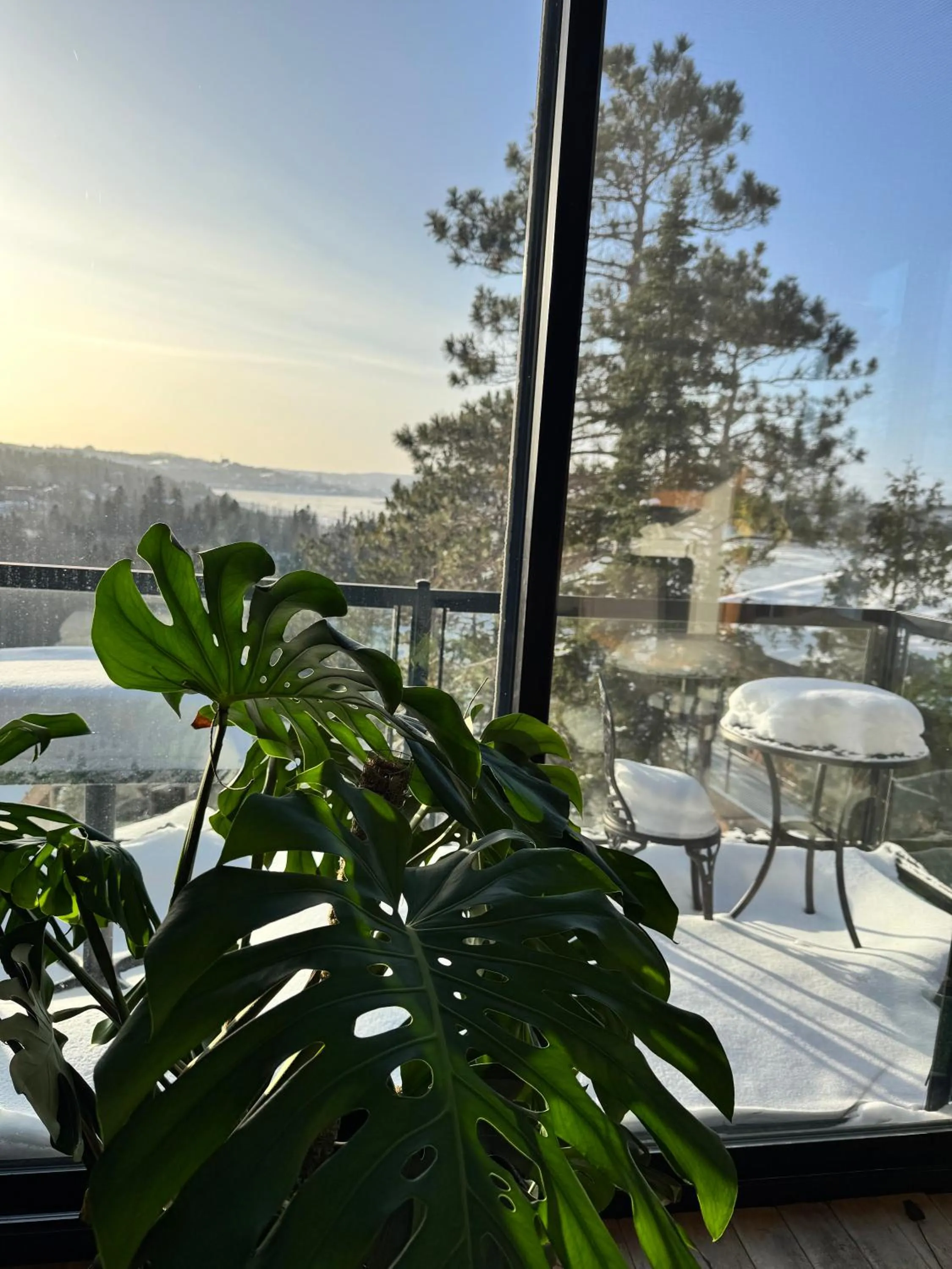 Gîte du Haut des Arbres