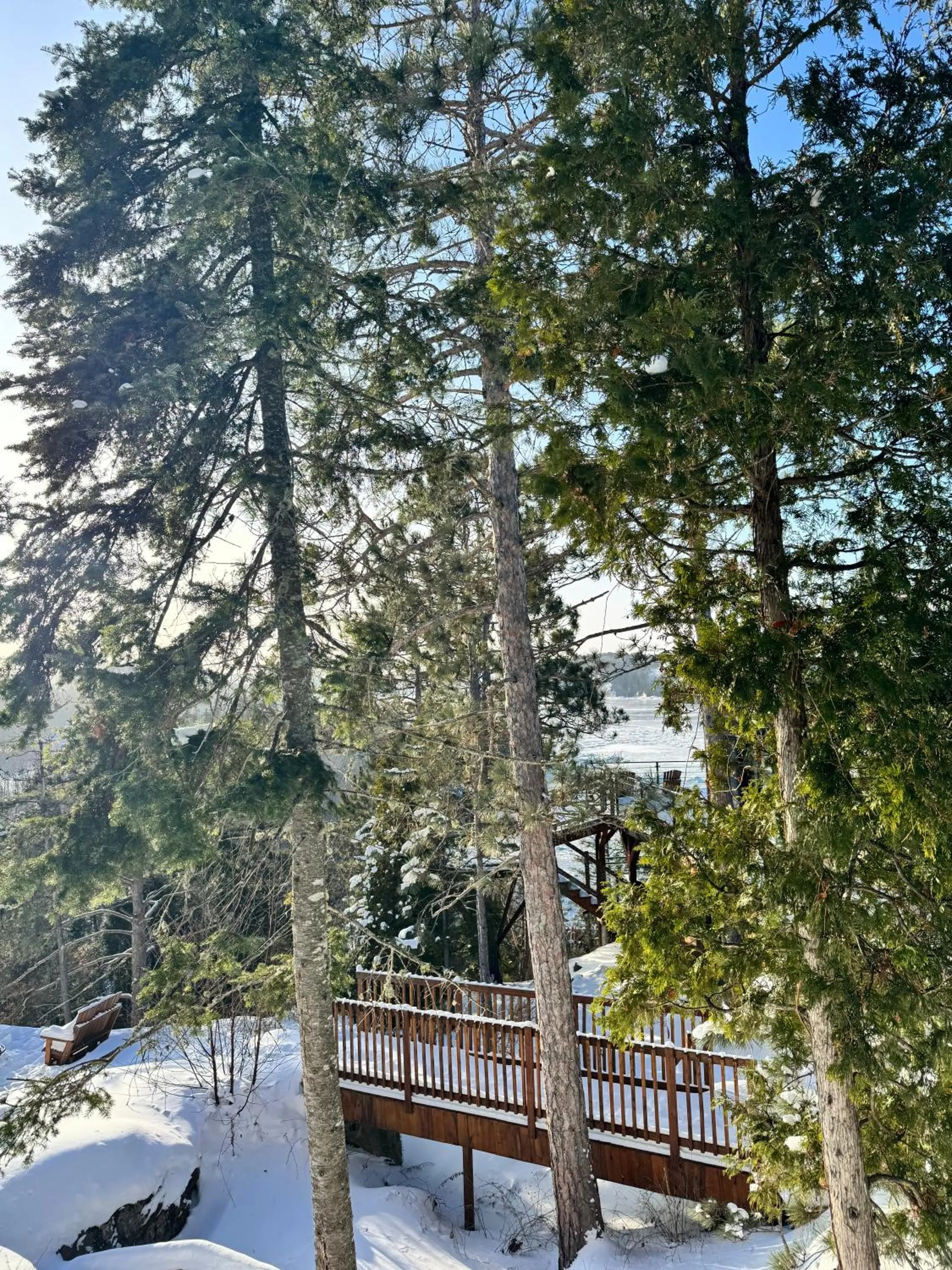 Gîte du Haut des Arbres