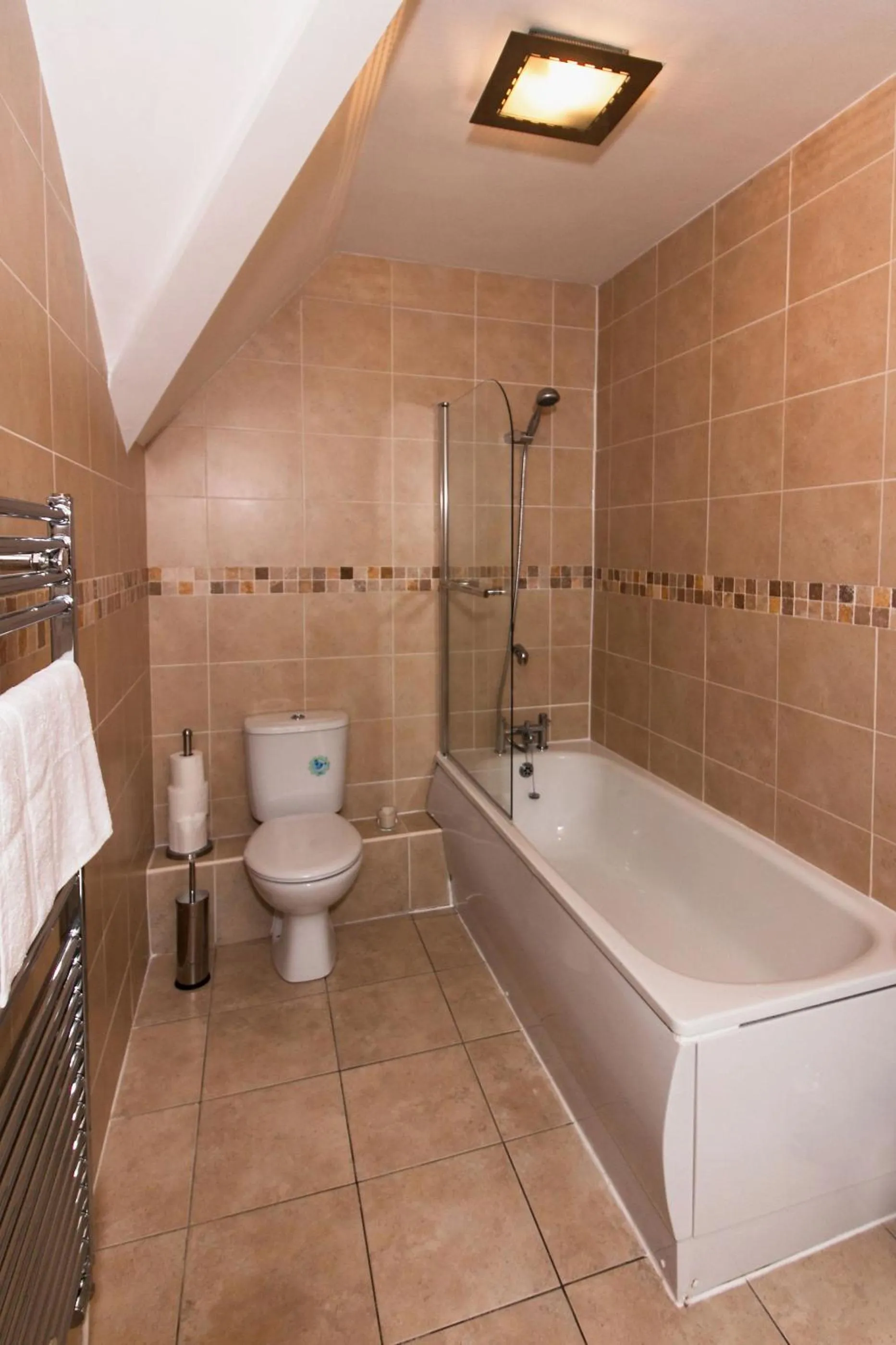 Bathroom in Cwrt Sofia