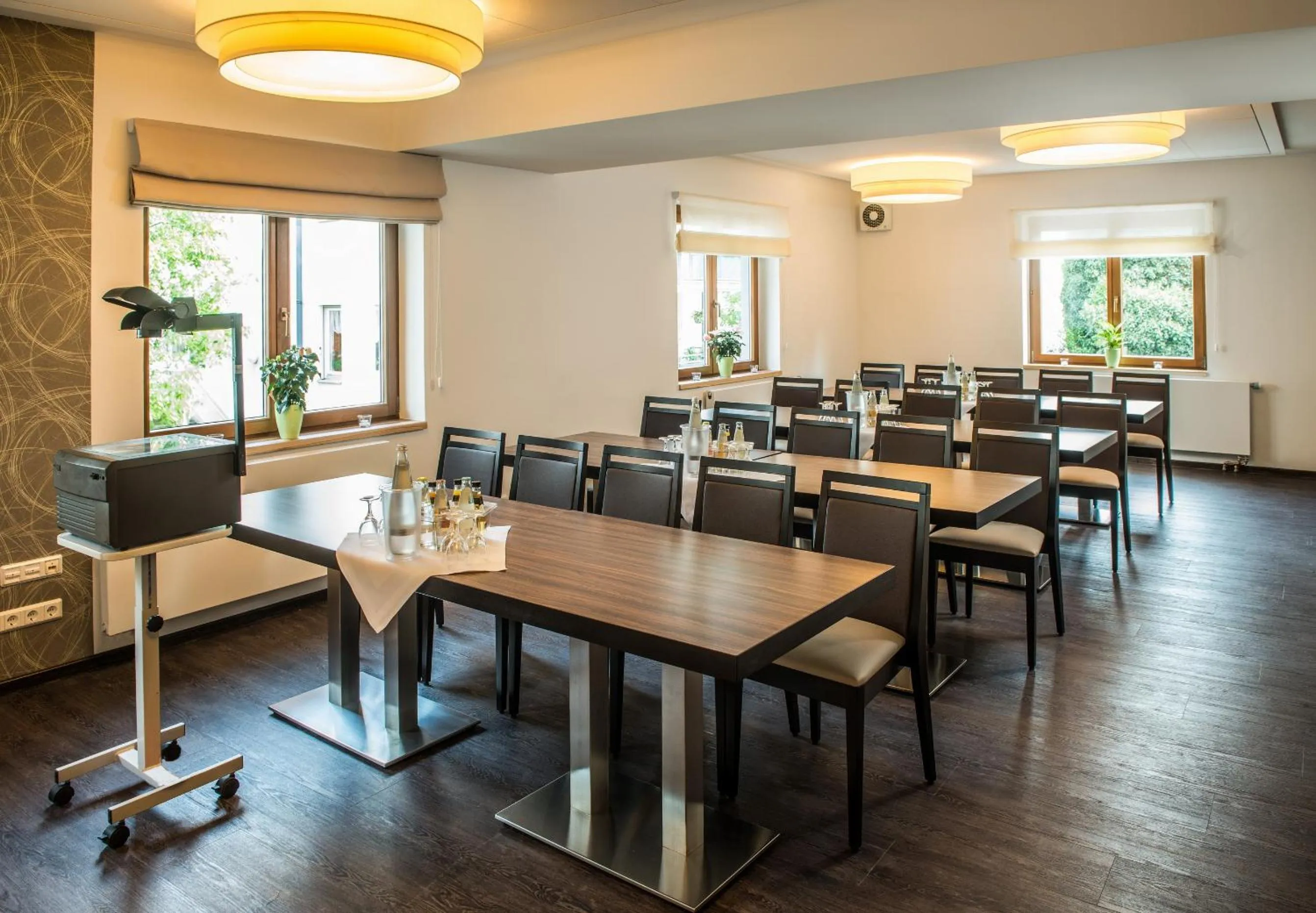 Banquet/Function facilities in B&S Hotel Am Bachhaus