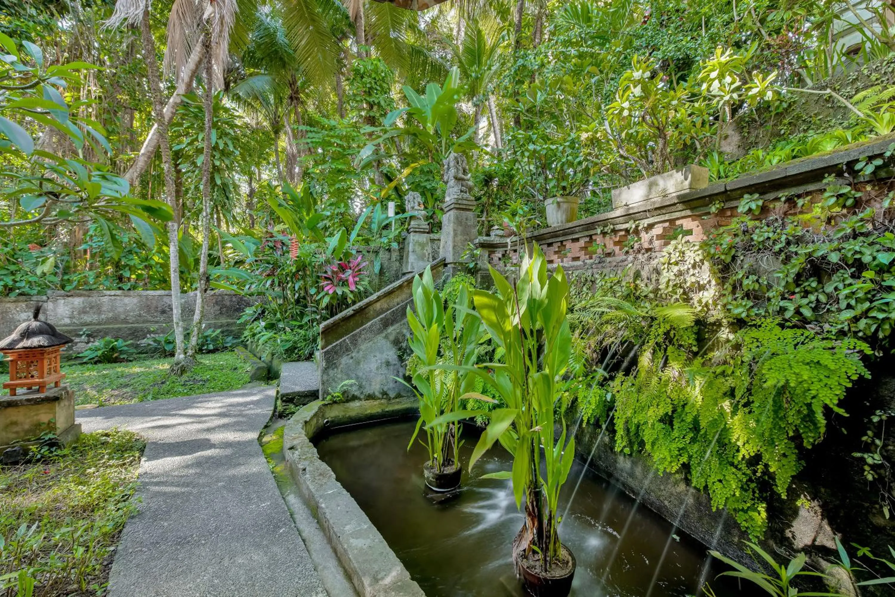 Garden in Kebun Indah Ubud