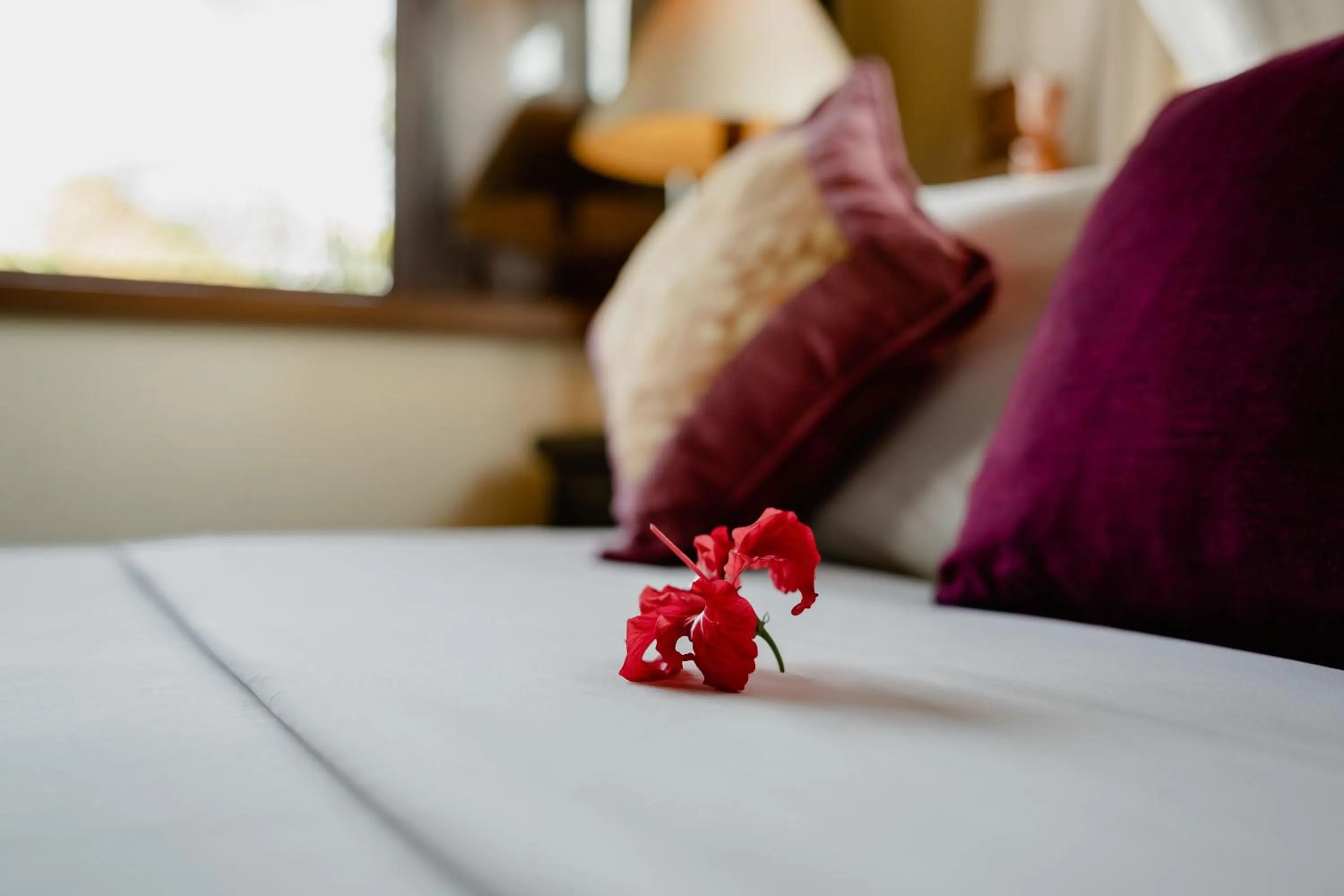Bedroom, Bed in Kebun Indah Ubud