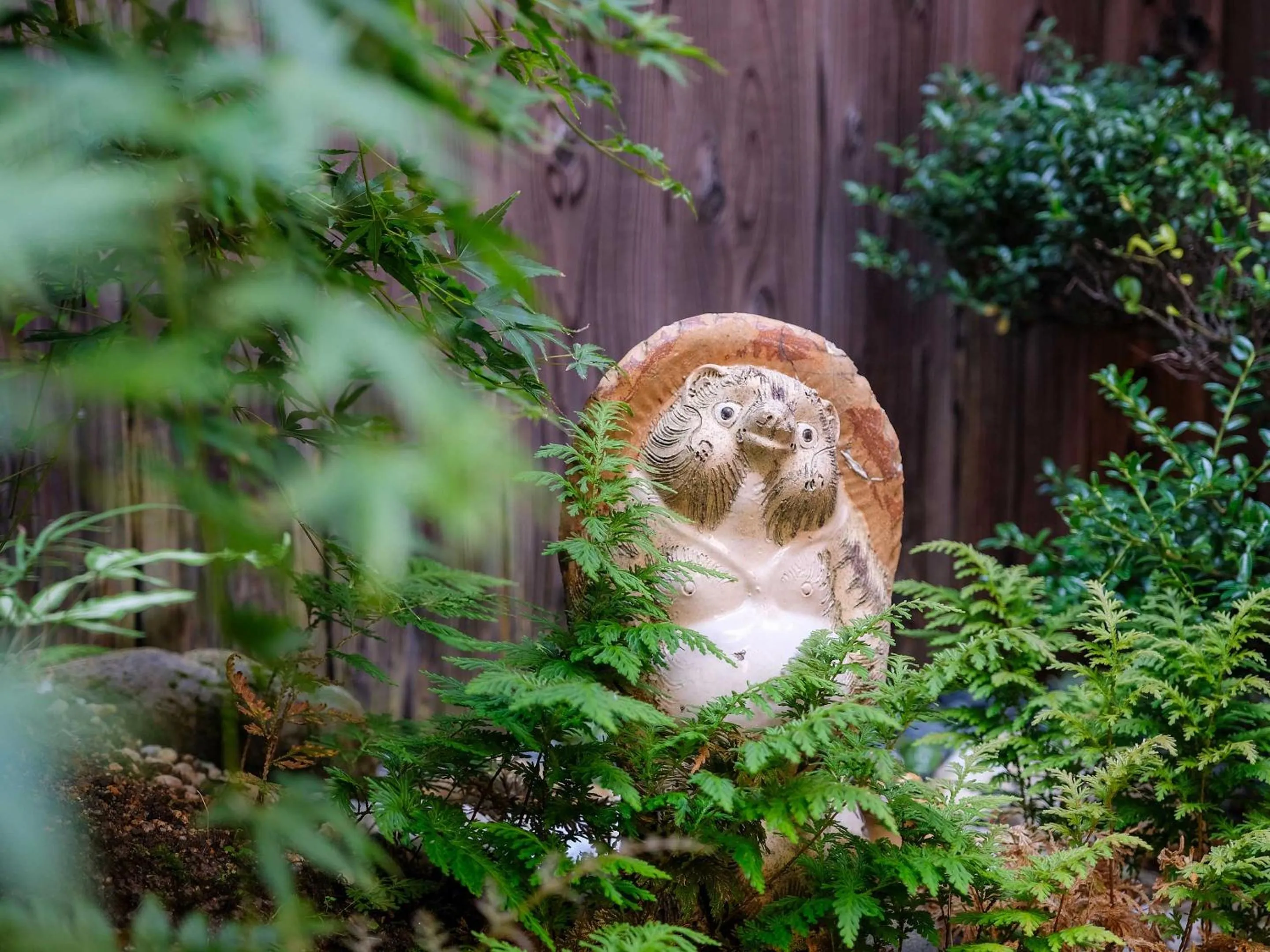 Garden in K-style kinkakuji