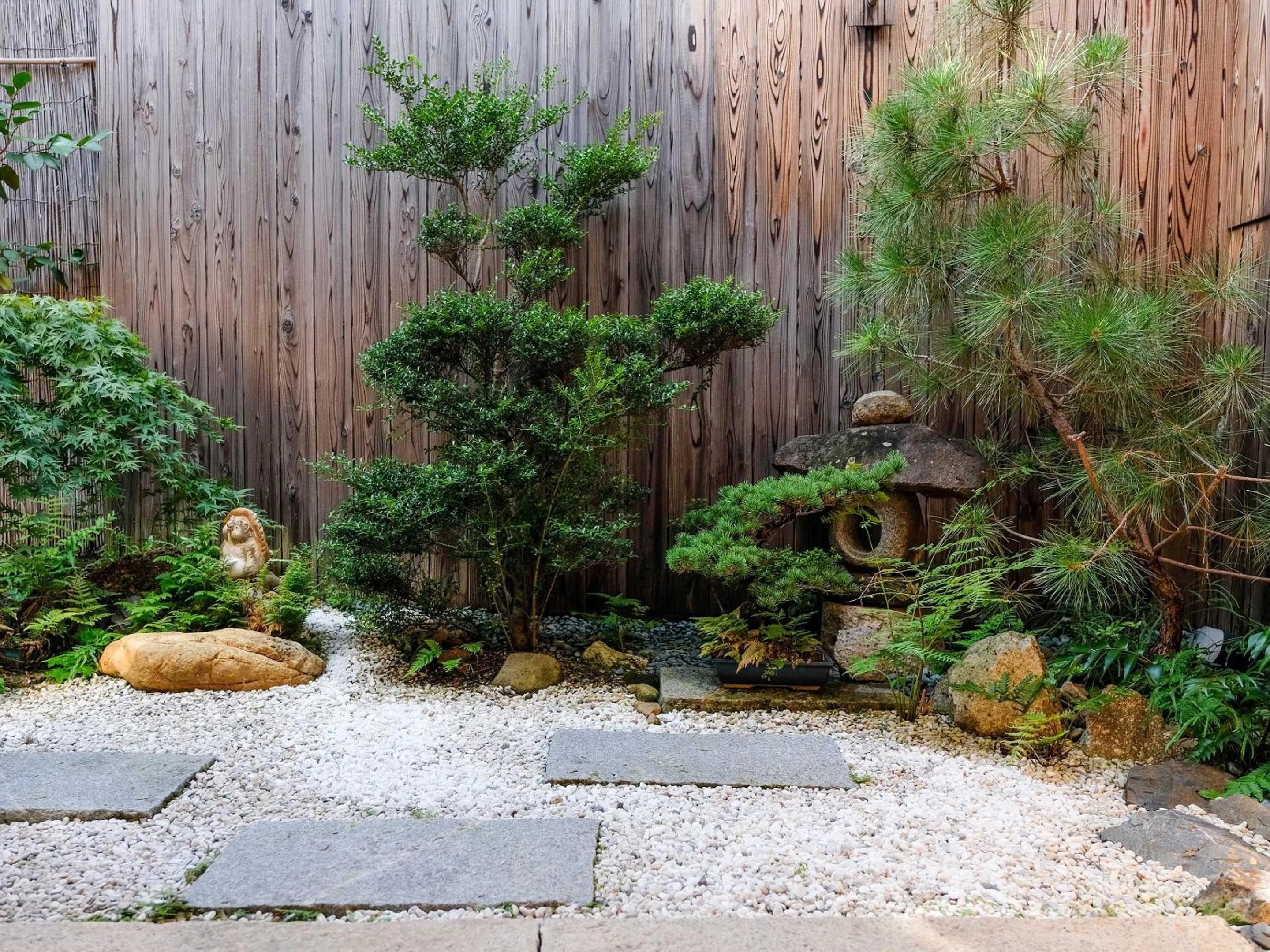 Garden in K-style kinkakuji