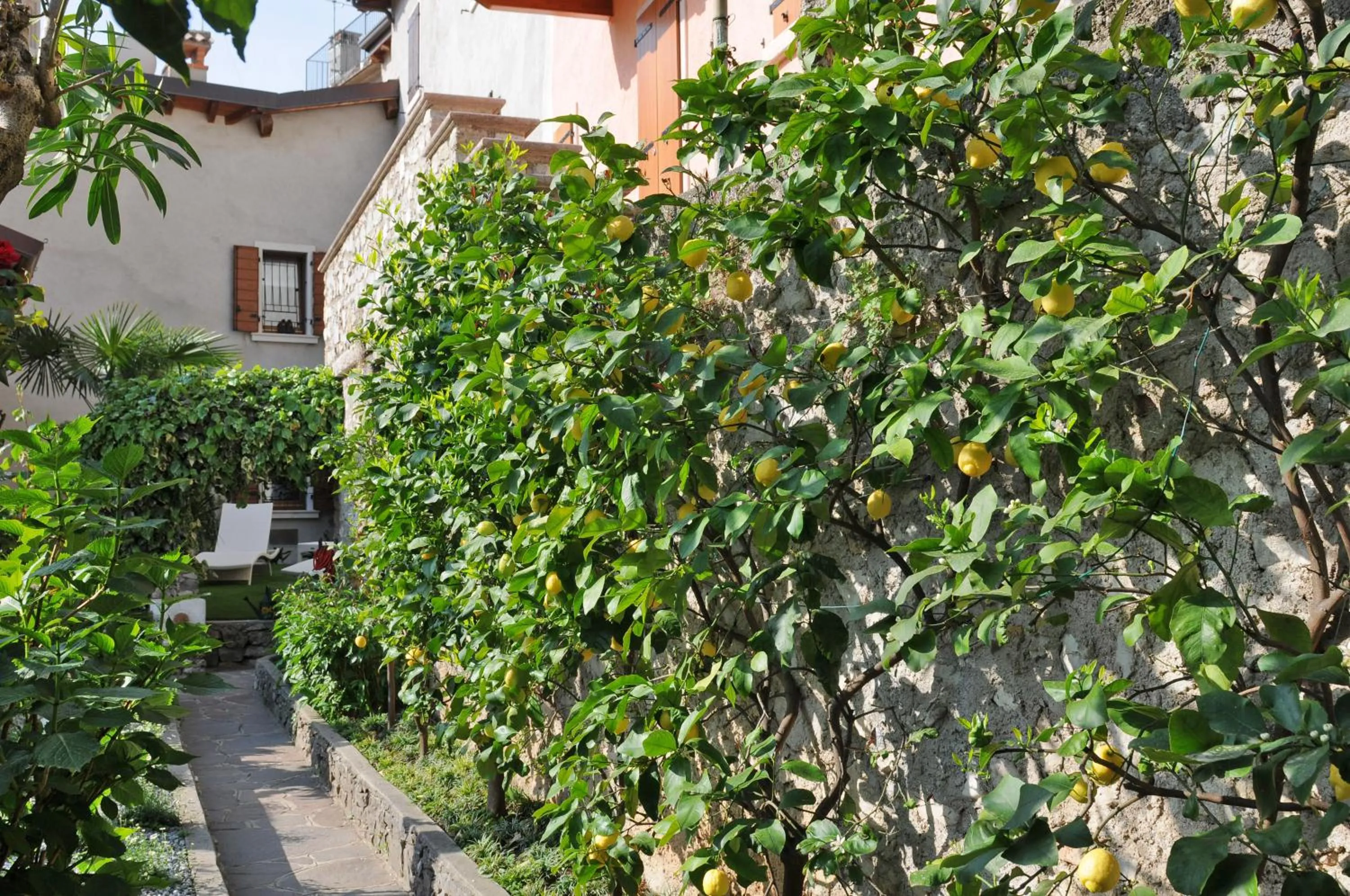 Garden in Bella Vacanza Limone