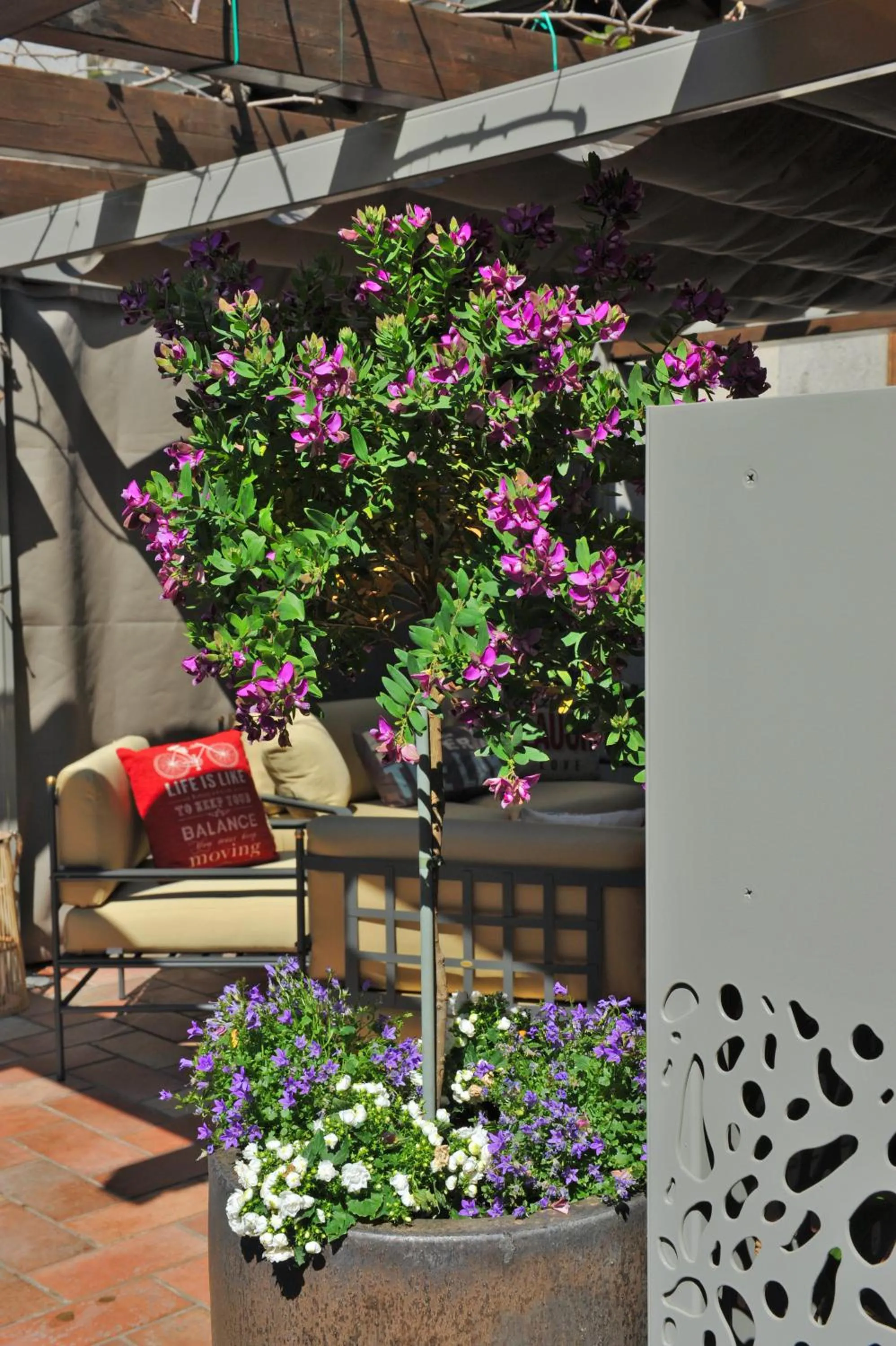 Patio in Bella Vacanza Limone