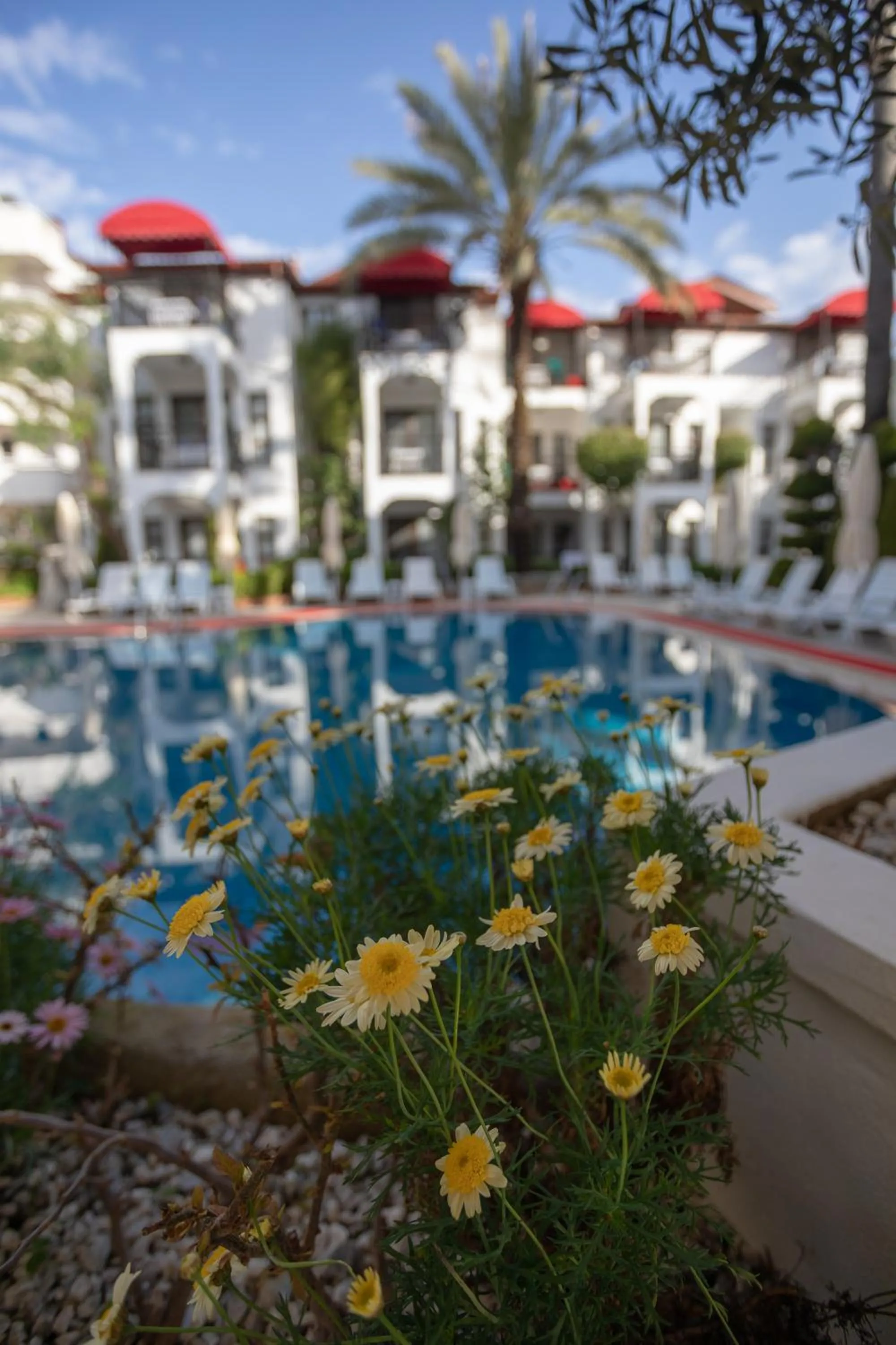 Property building in Mitos Apartments