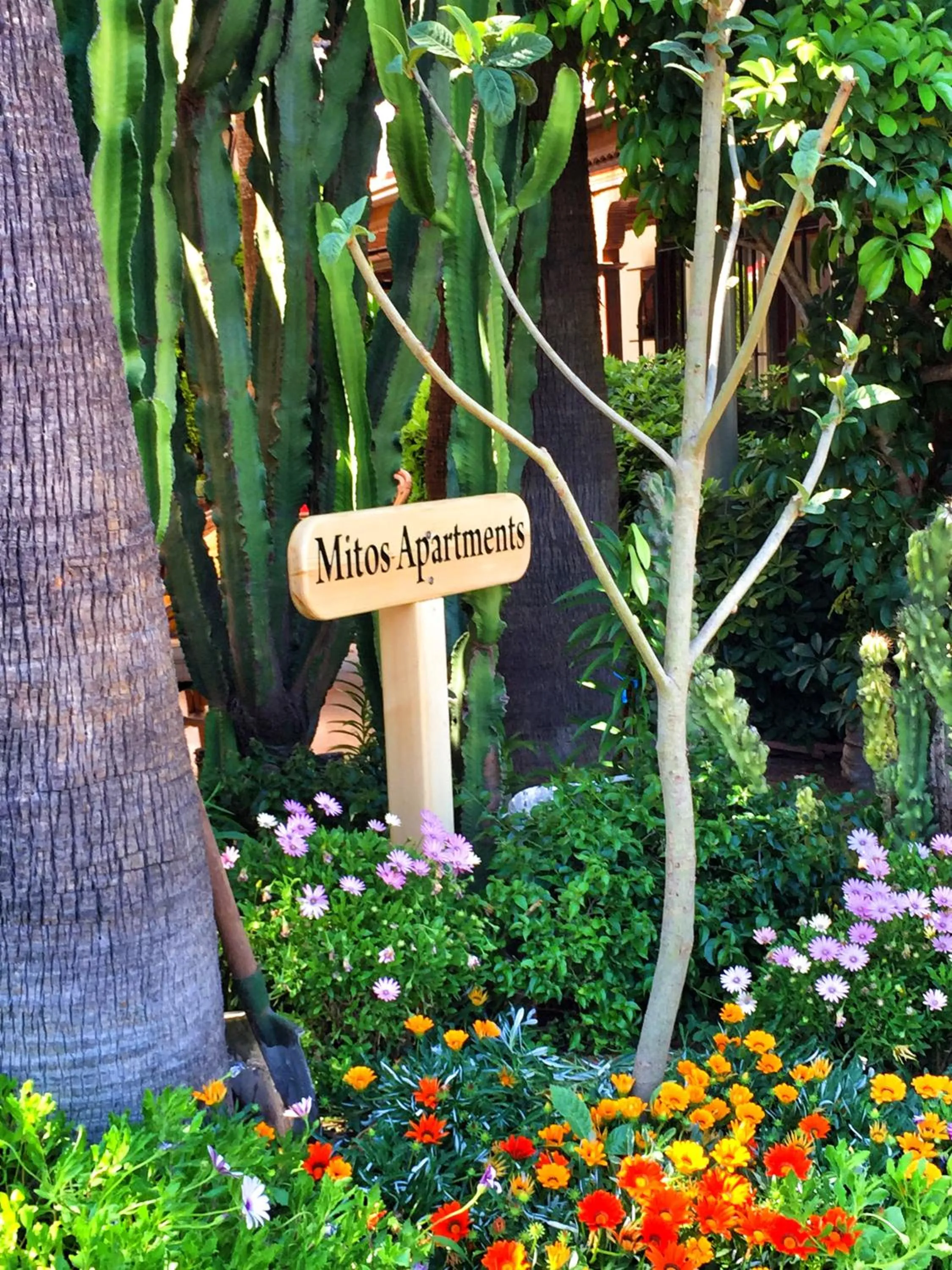 Garden in Mitos Apartments