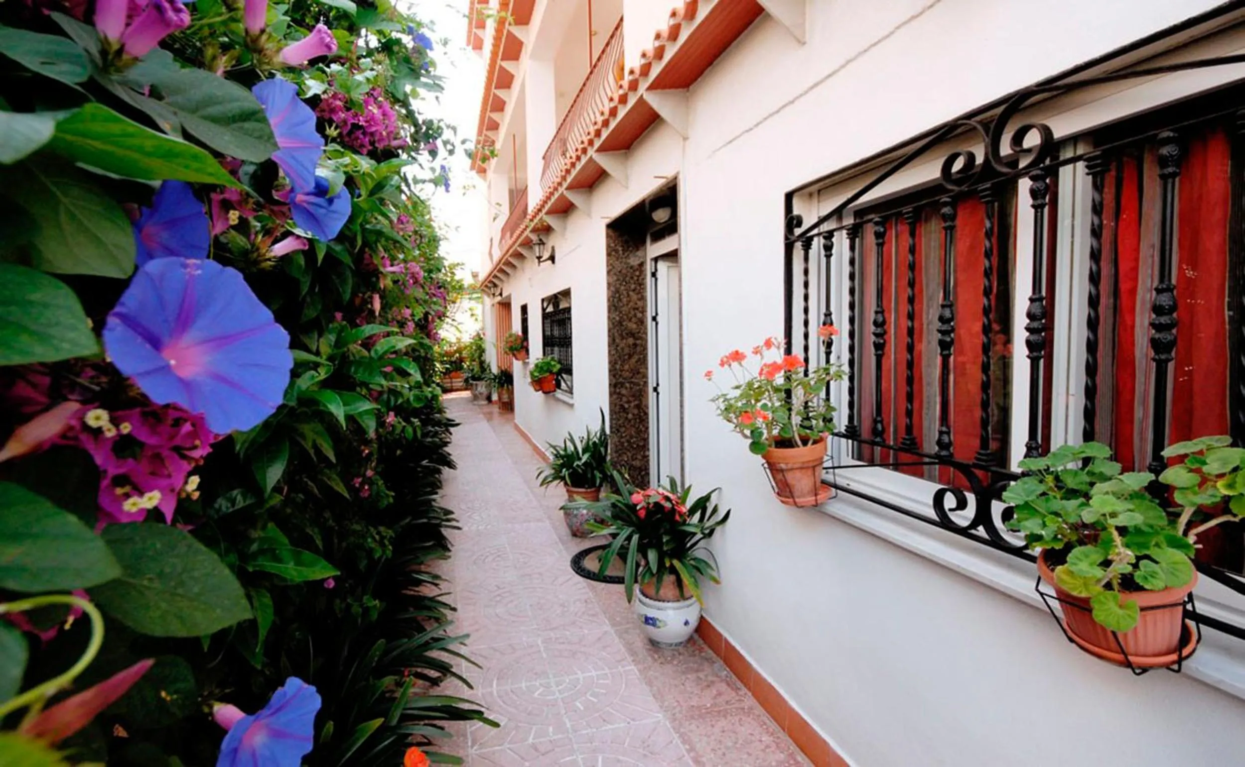 Lobby or reception in Gandialco Playa de Gandia