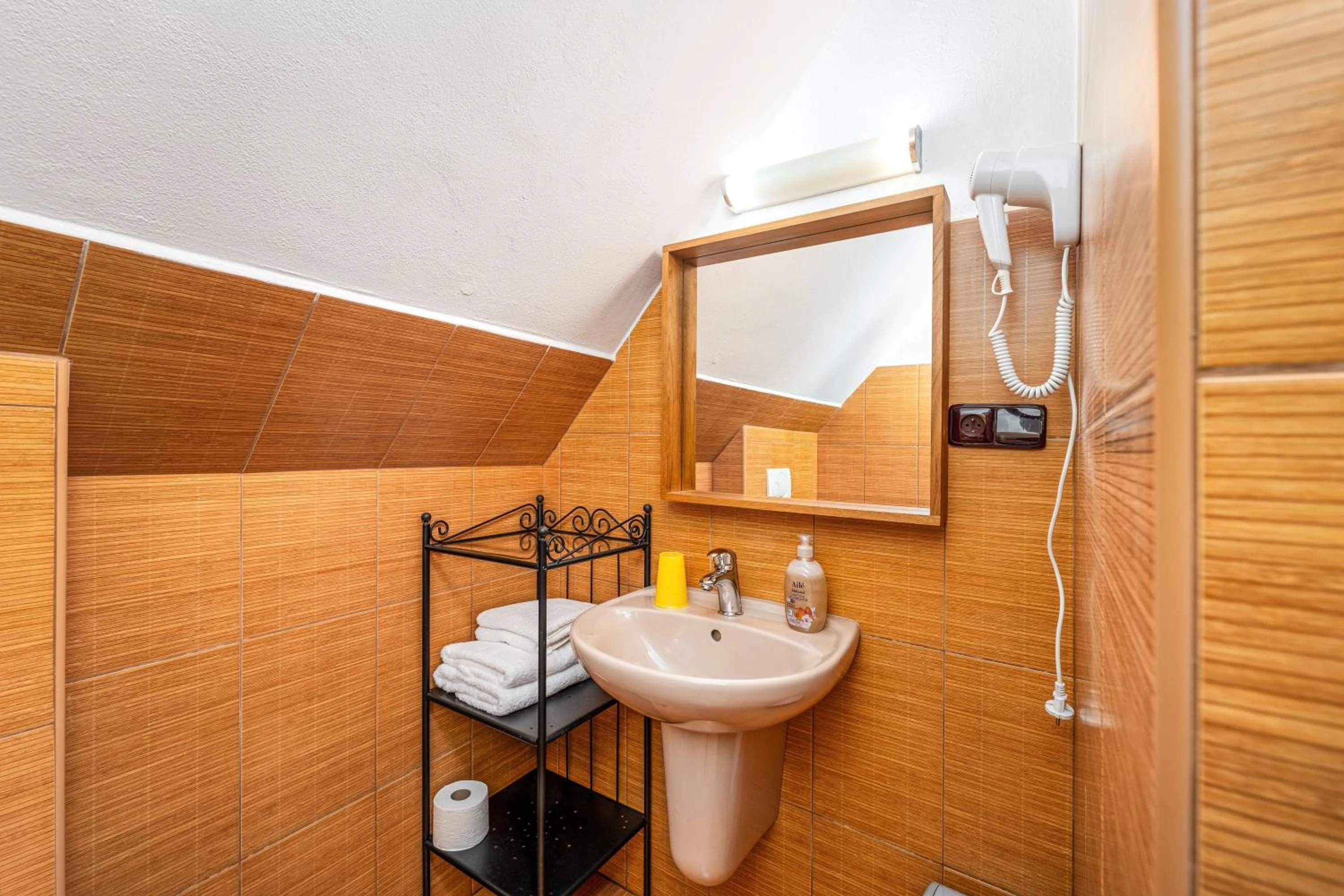 Double Room - single occupancy in Penzion Kříž