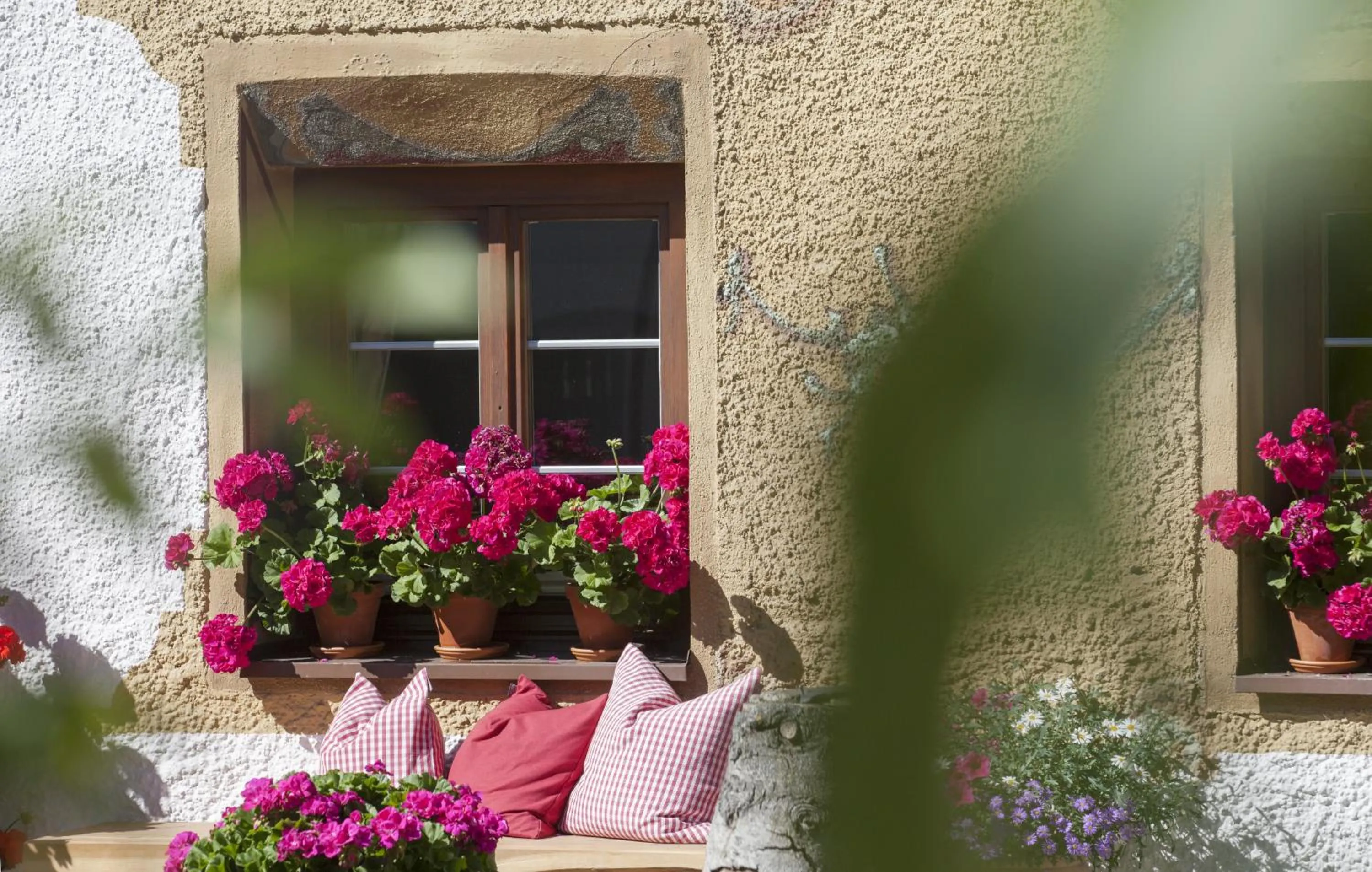 Day in Pension der Steinbock - das 300 Jahre alte Bauernhaus - TIROL