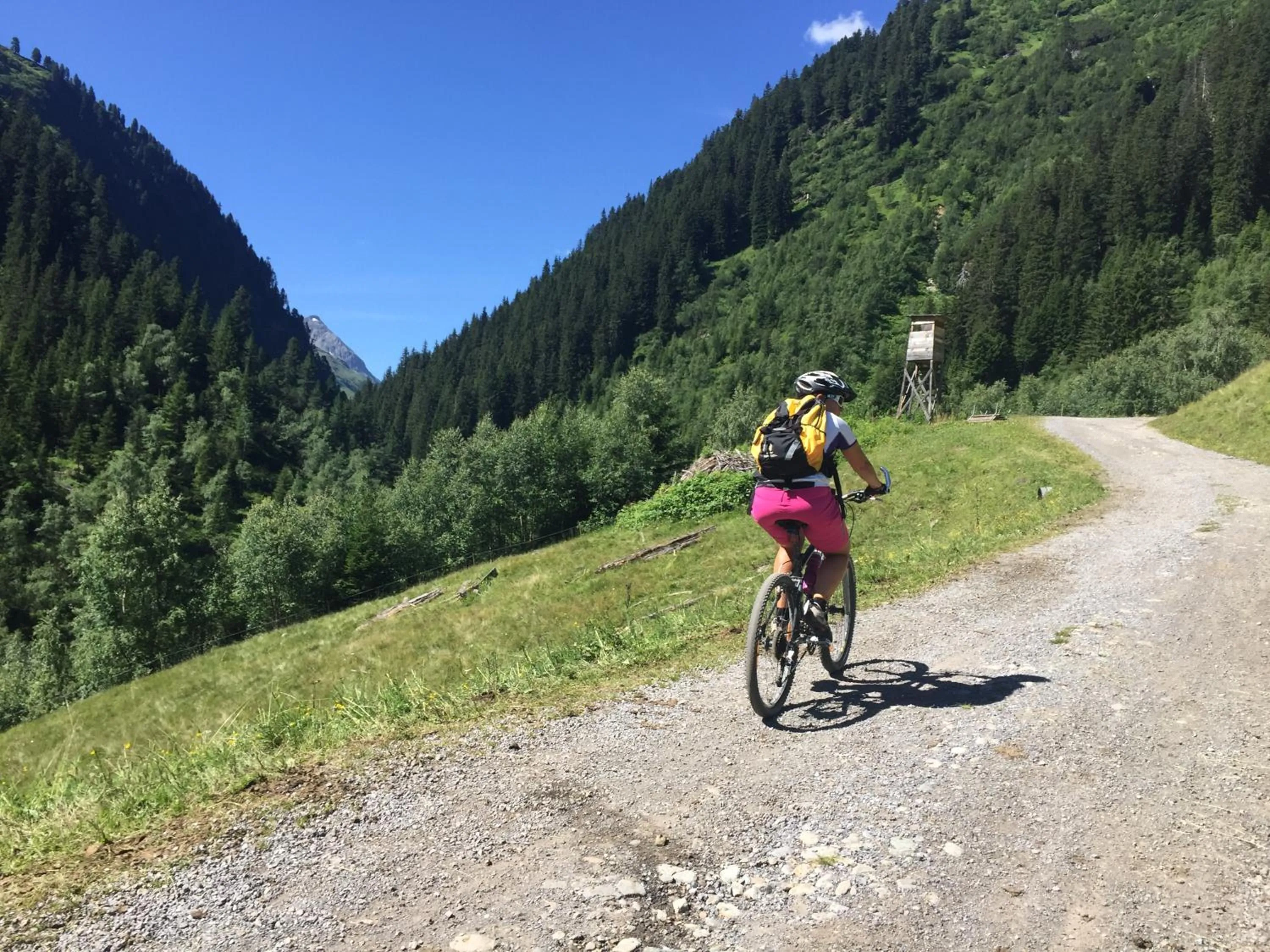 Cycling in Pension der Steinbock - das 300 Jahre alte Bauernhaus - TIROL