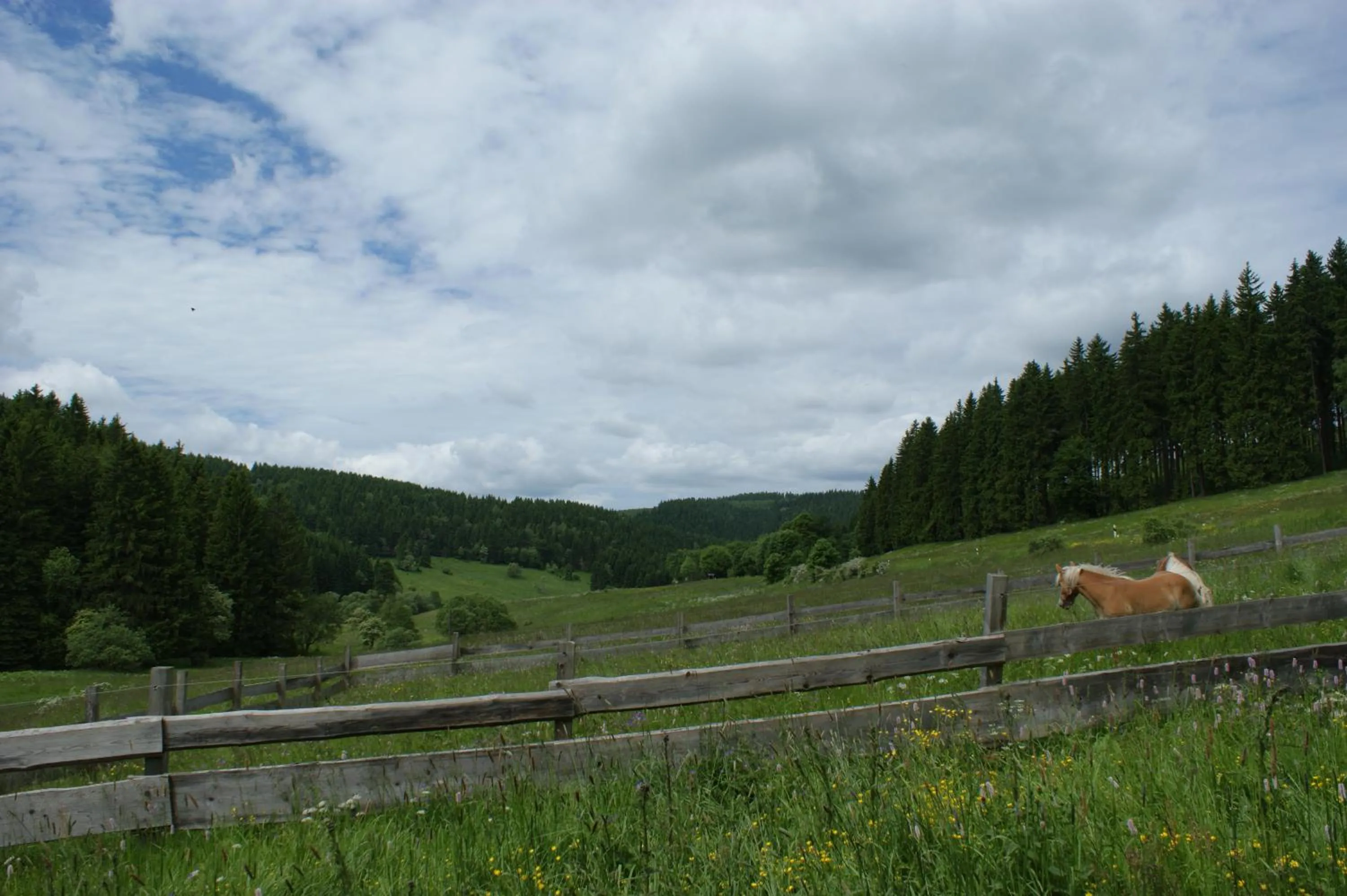 View (from property/room) in Appartements und Ferienhaus Gasthof Kanzlersgrund