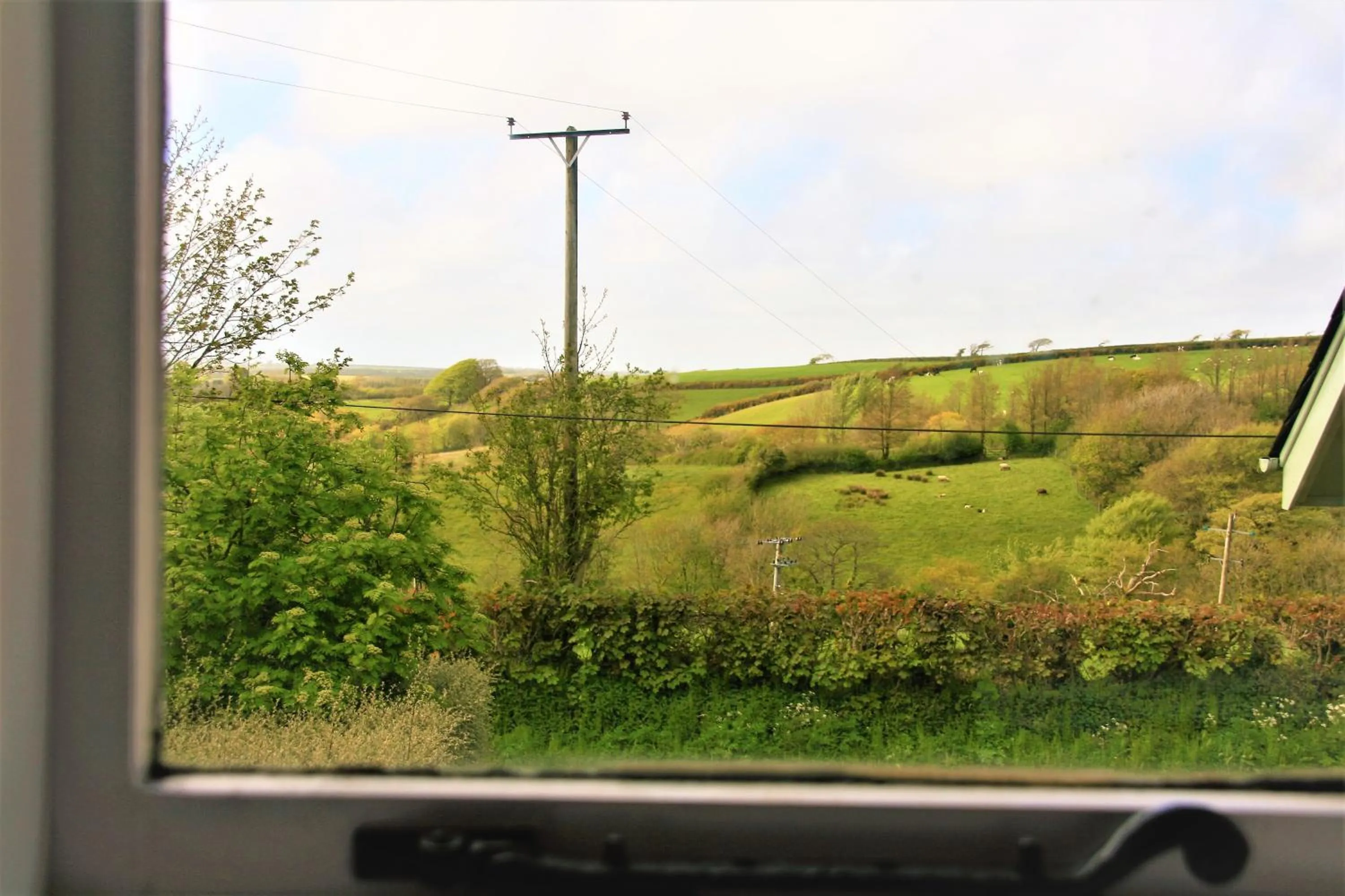 Garden view in Glebe House Cottages