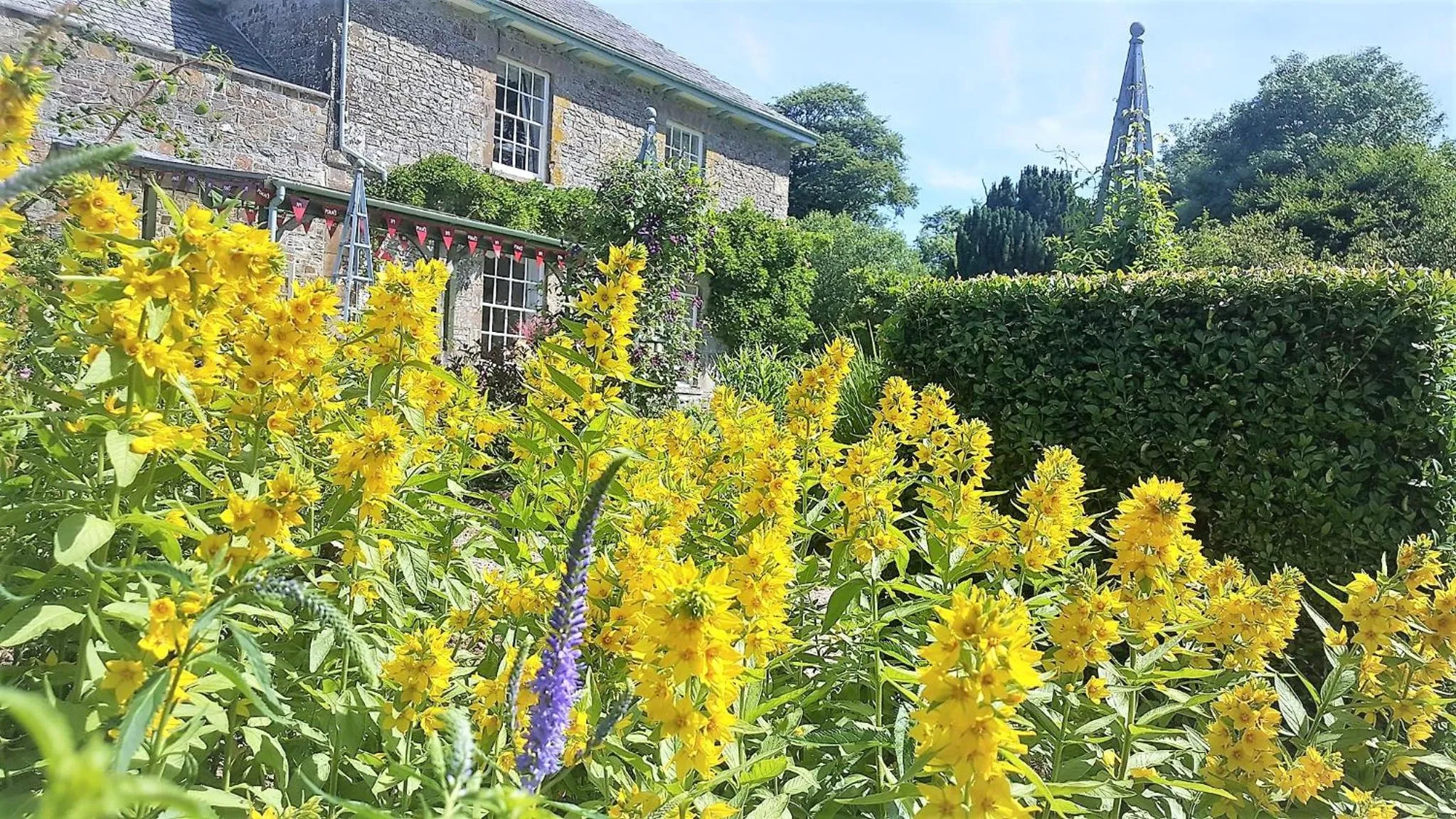 Garden in Glebe House Cottages