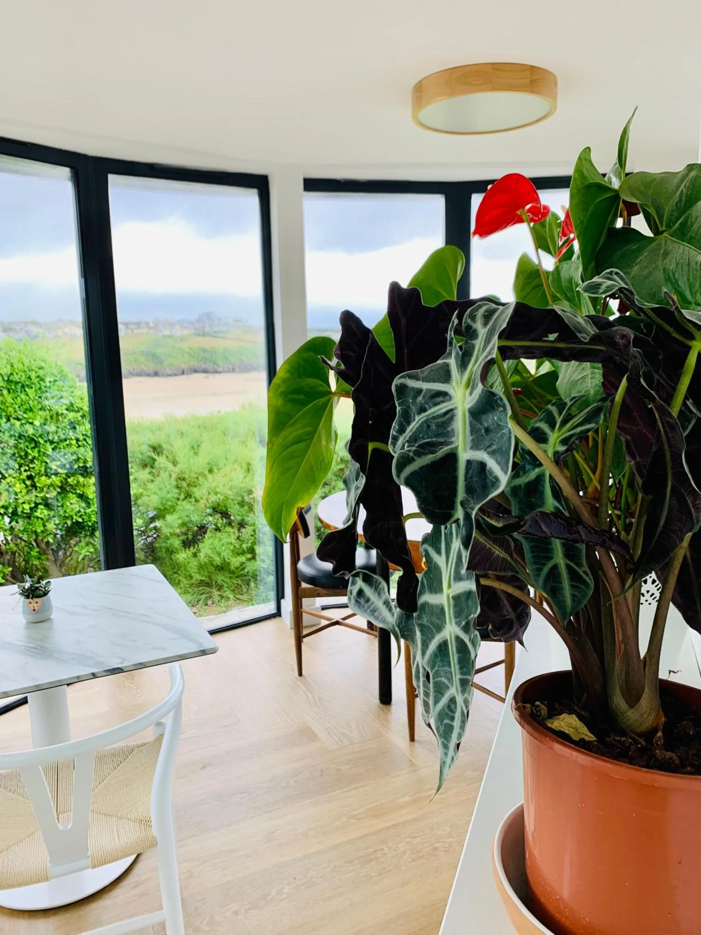 Dining area in Porth Beach Hotel