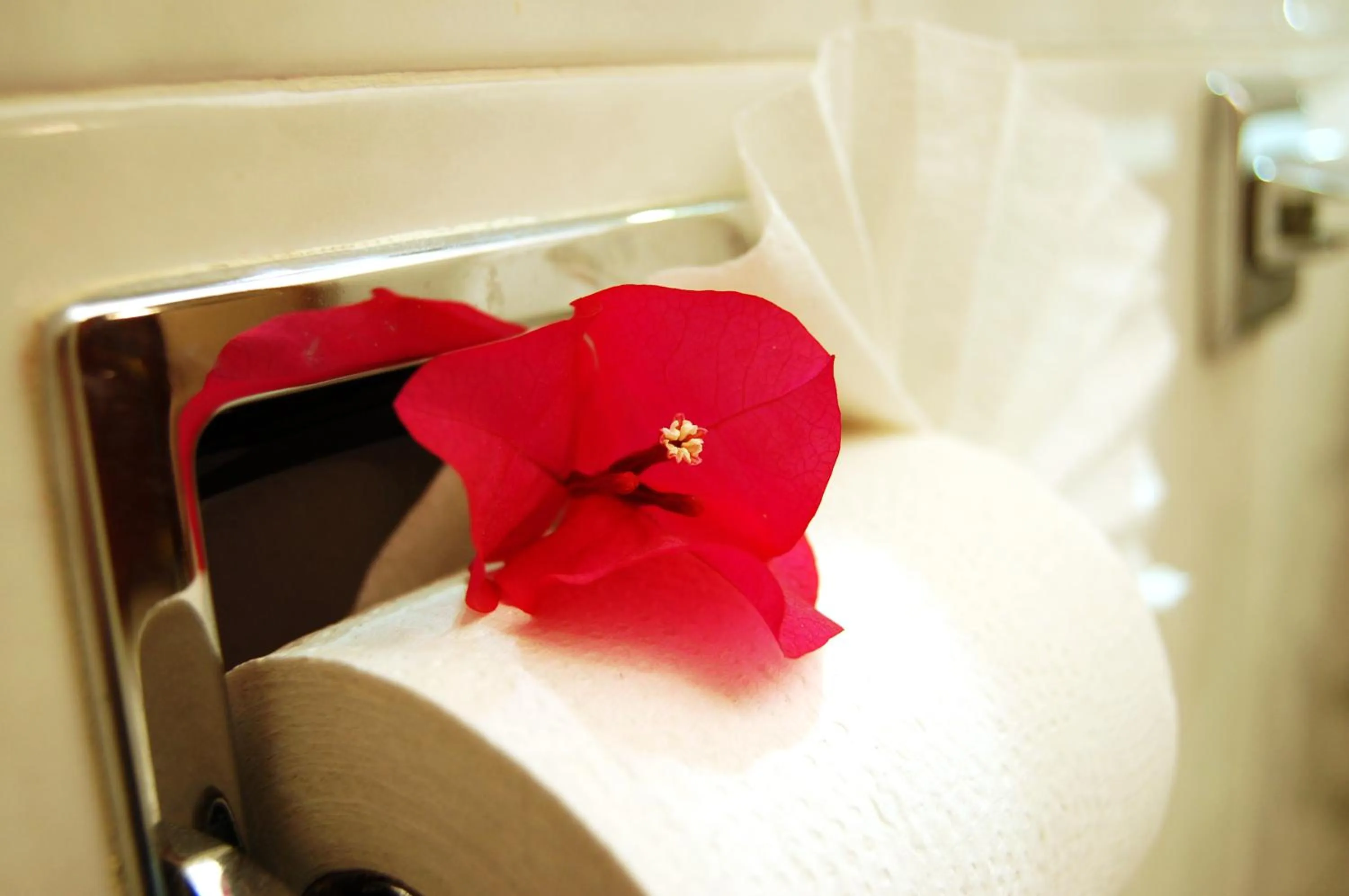 Bathroom in Hotel del Principado