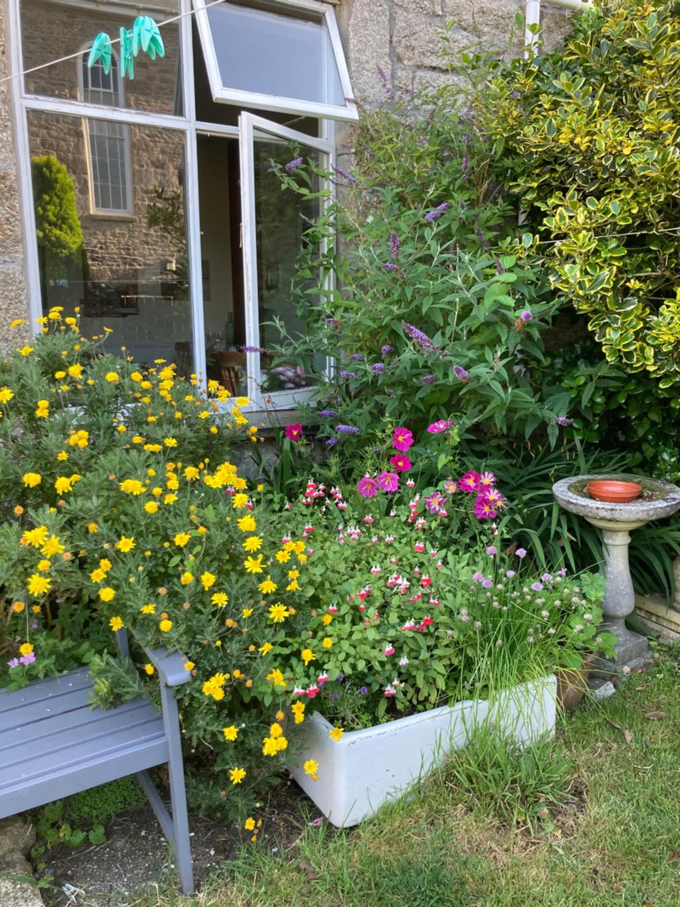 Garden in The Old Post House B&B