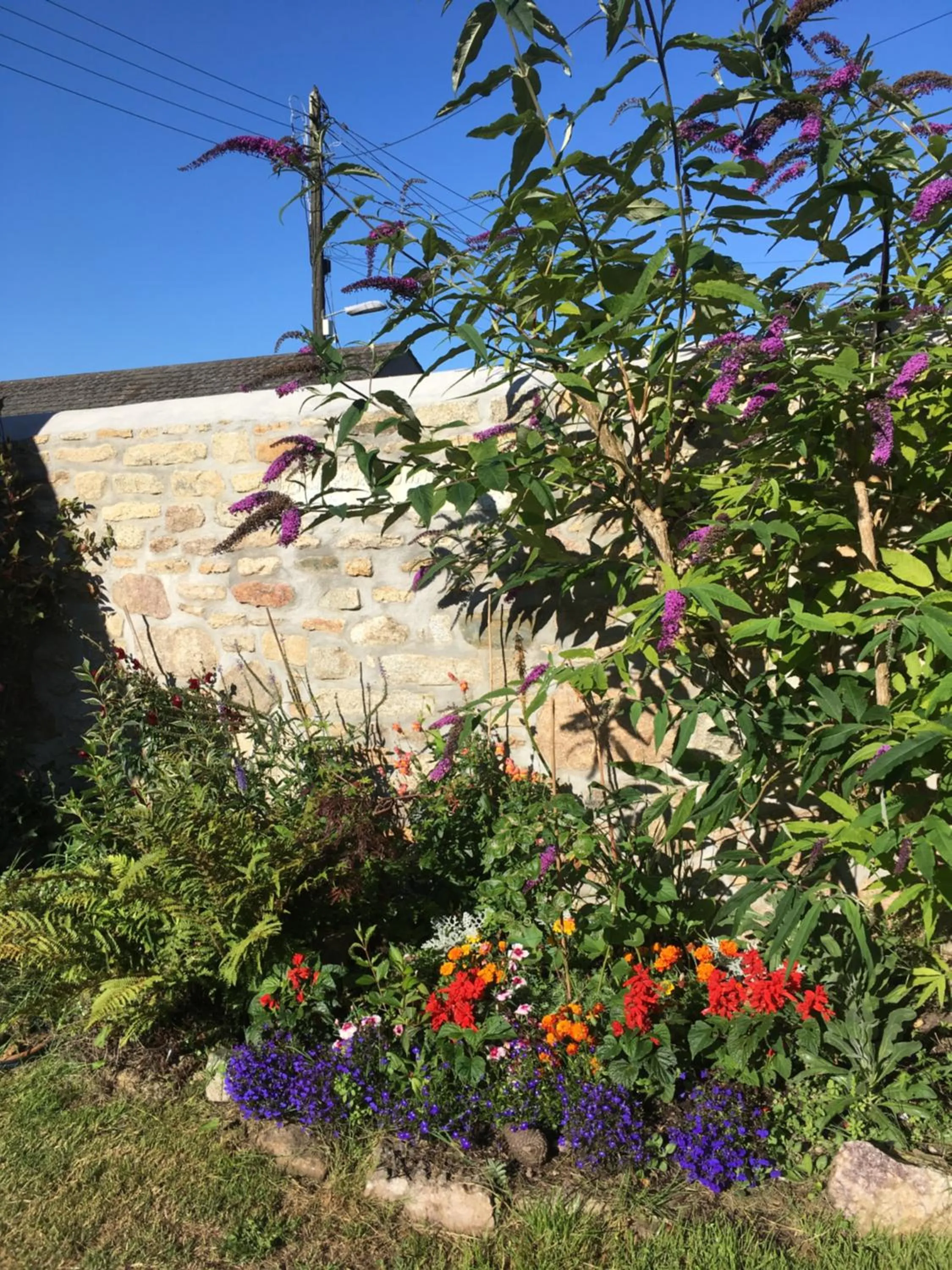 Garden in The Old Post House B&B