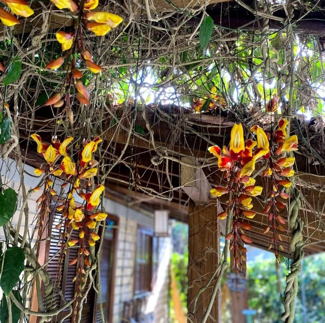 Spring in Pousada Refúgio dos Pássaros
