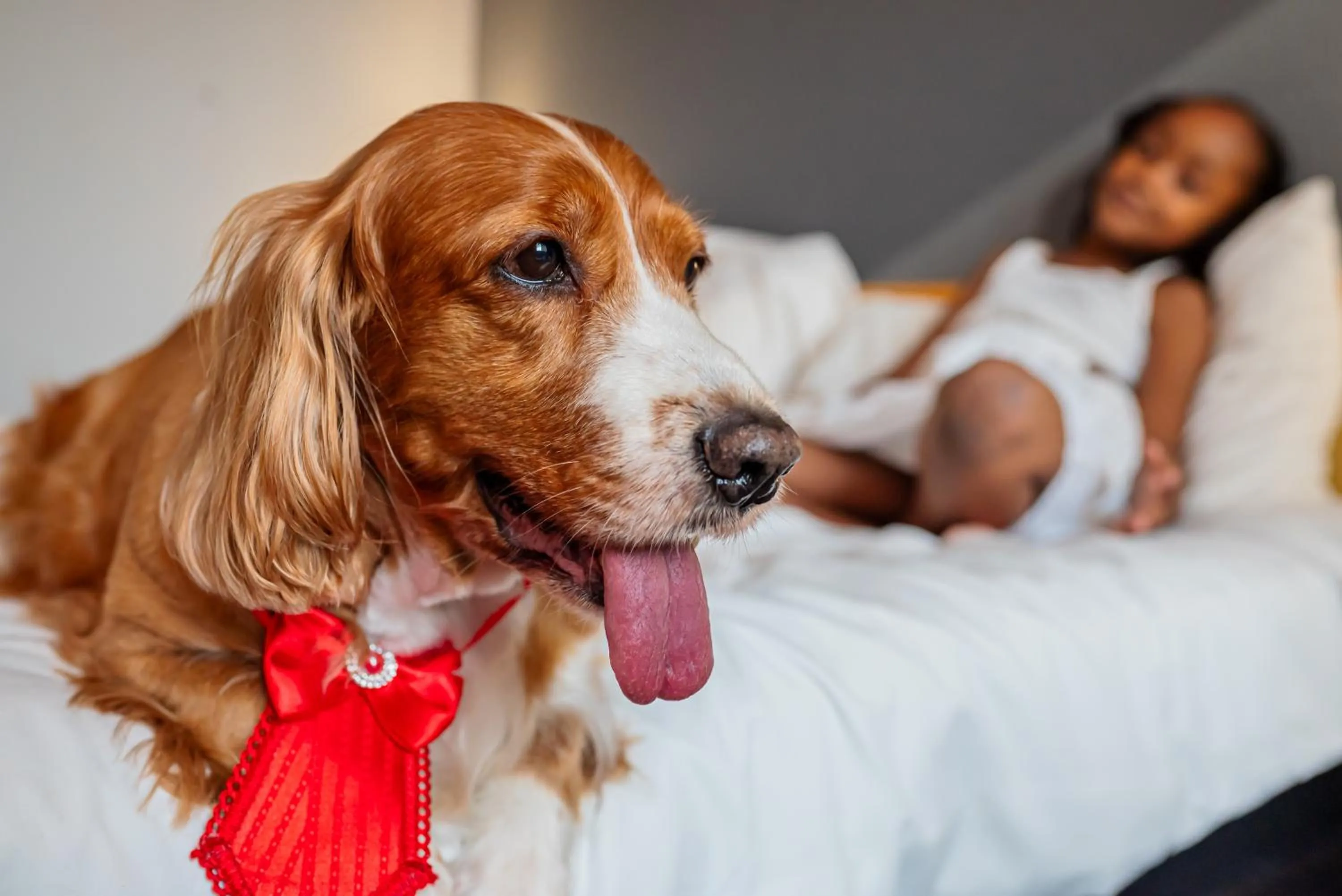 Bed in ibis Santo Andre