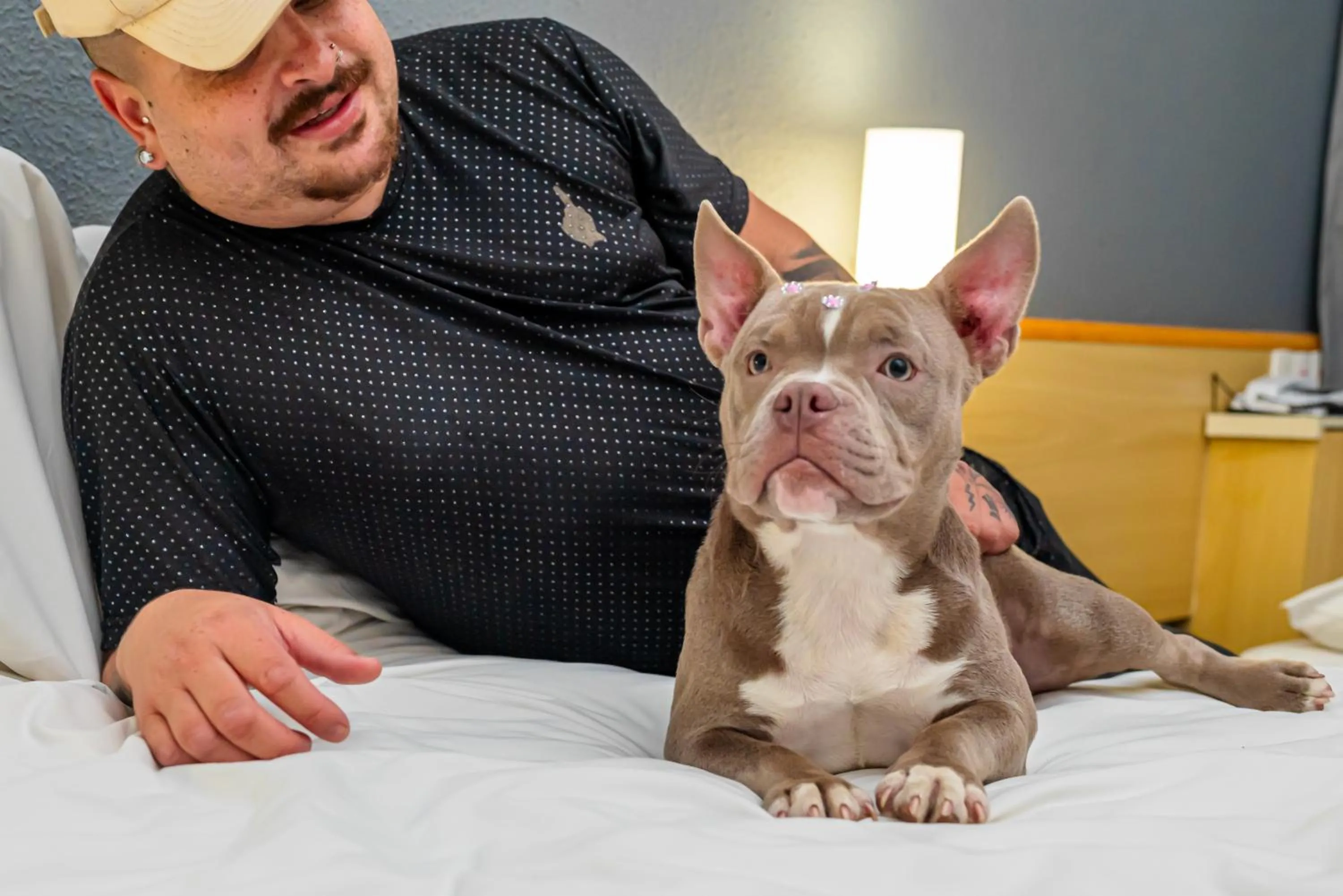 People in ibis Santo Andre