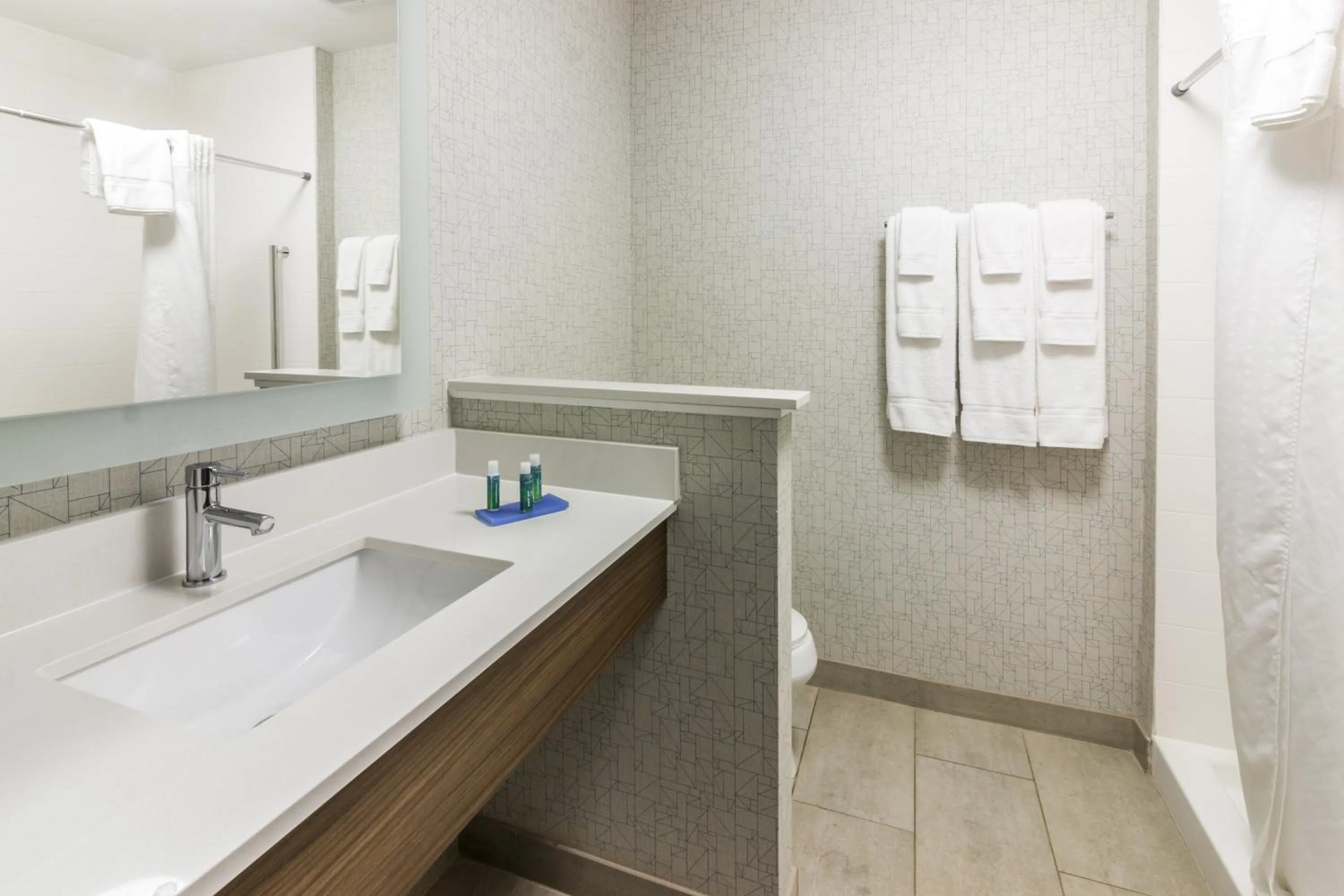 Bathroom in Holiday Inn Express - Villa Rica by IHG