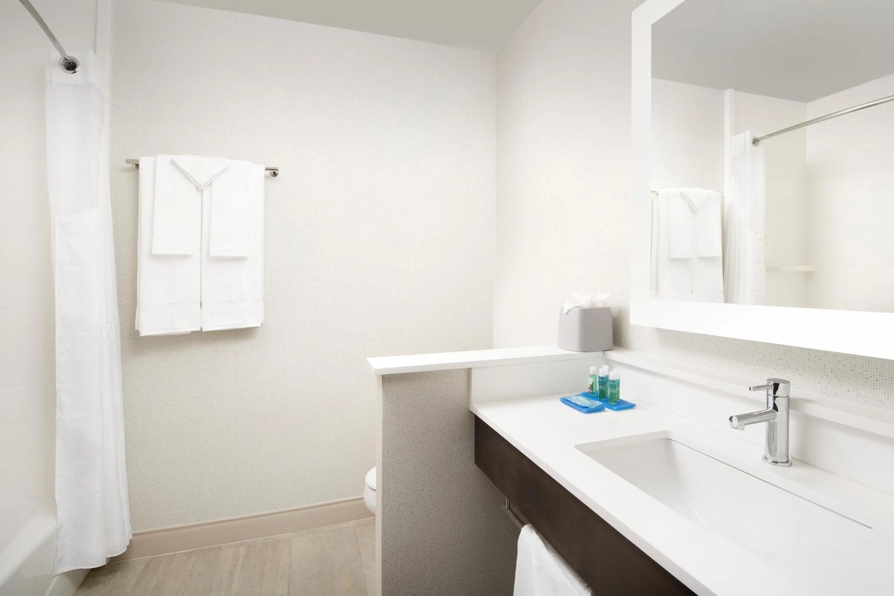 Bathroom in Holiday Inn Express & Suites San Antonio North-Windcrest by IHG