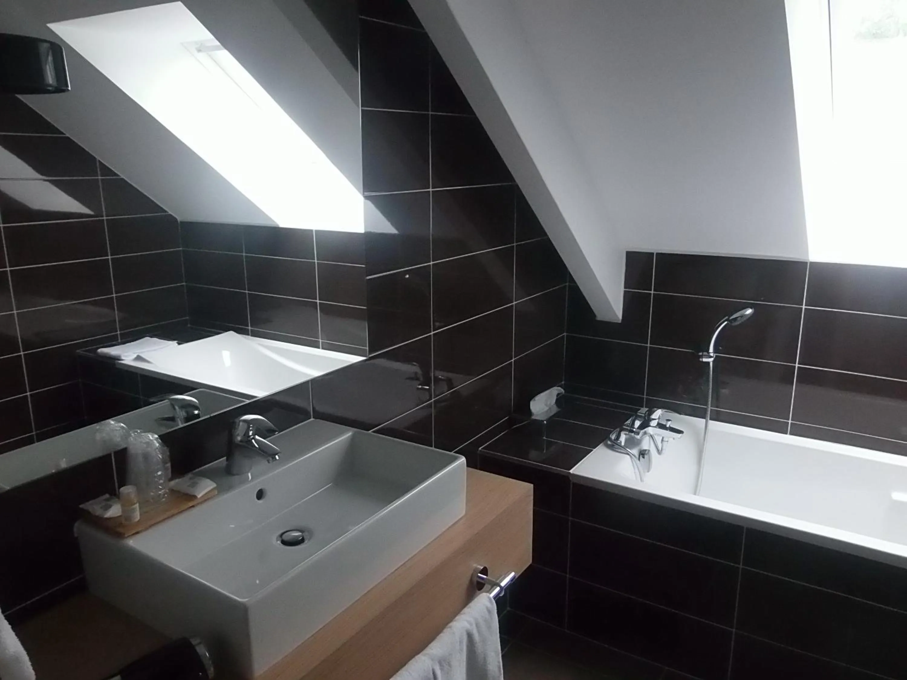 Shower in Hôtel Restaurant Le Rive Gauche