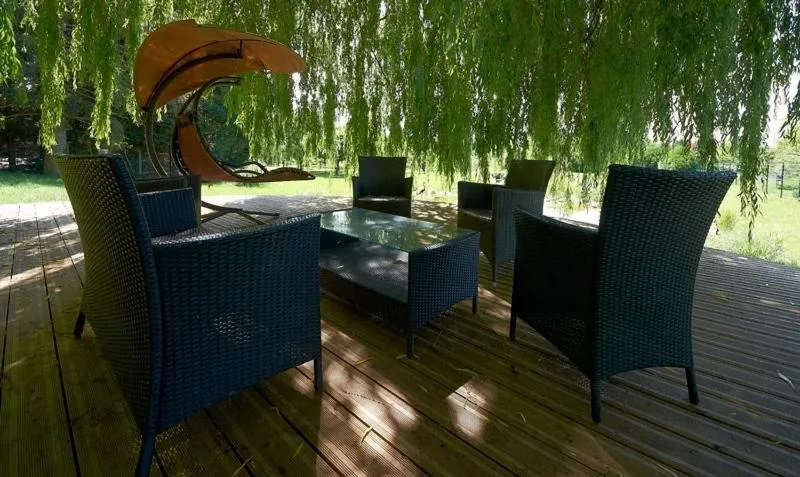 Balcony/Terrace in Hôtel Restaurant Le Rive Gauche