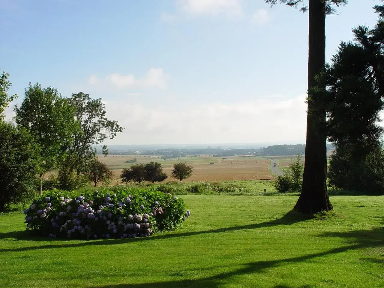 Breakfast in Logis - Hotel Restaurant La Sapinière Breakfast in Logis - Hotel Restaurant La Sapinière