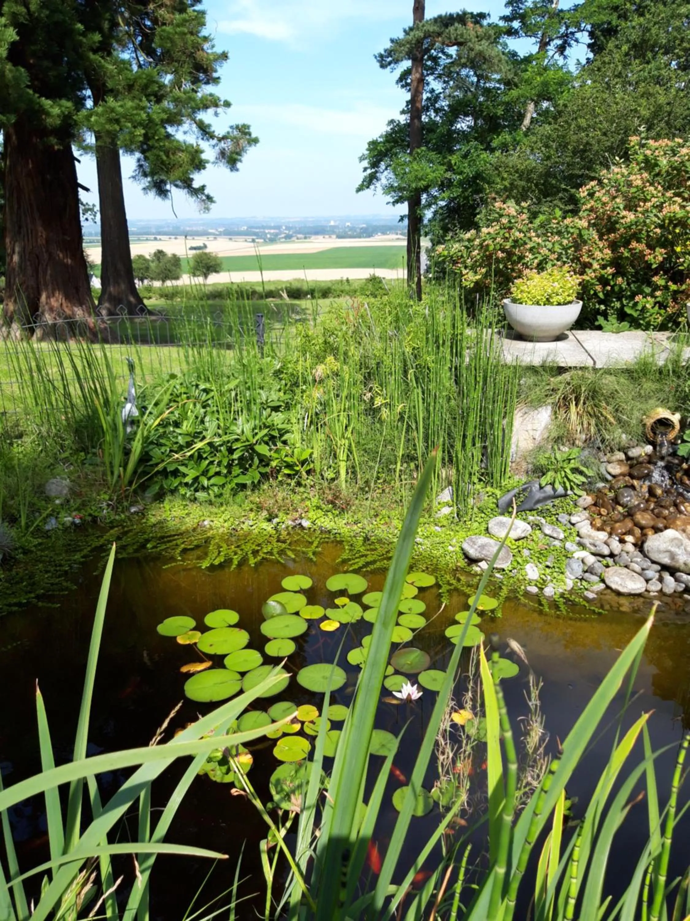 Logis - Hotel Restaurant La Sapinière